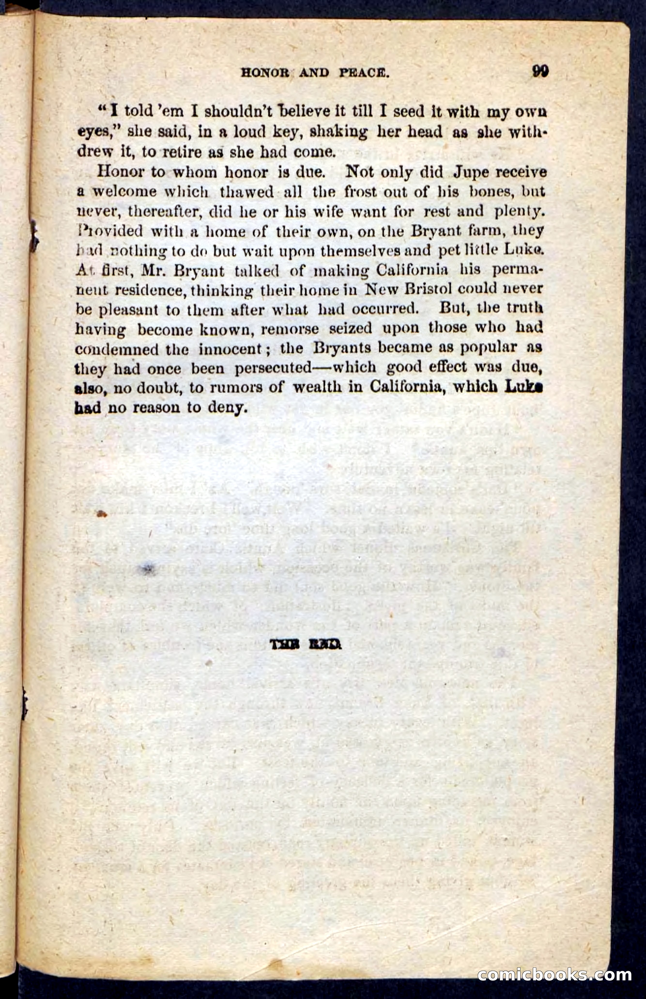 Beadle's Pocket Novels No. 190: Old Jupe — page 95 of 100