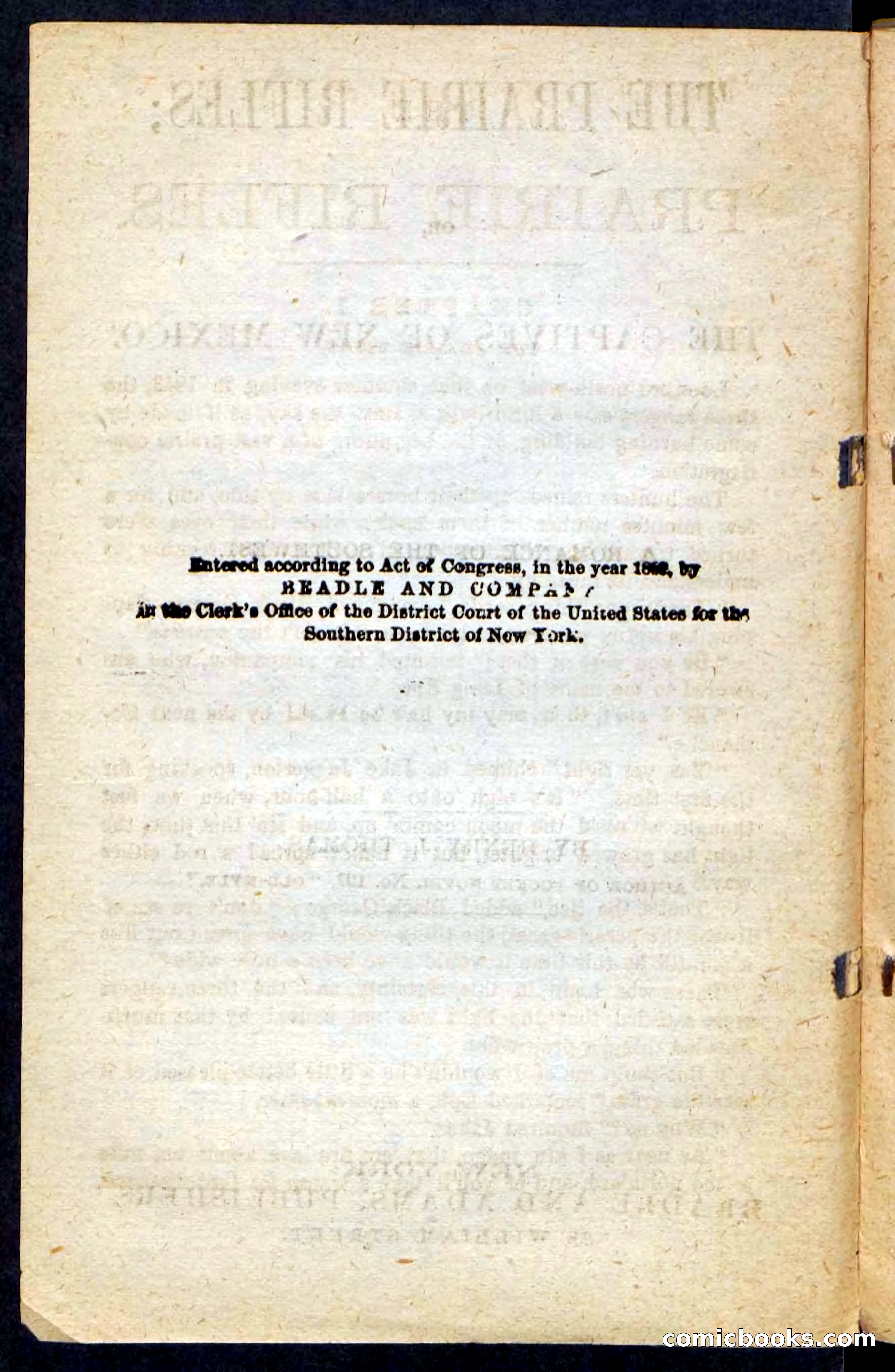 The Prairie Rifles — page 4 of 100