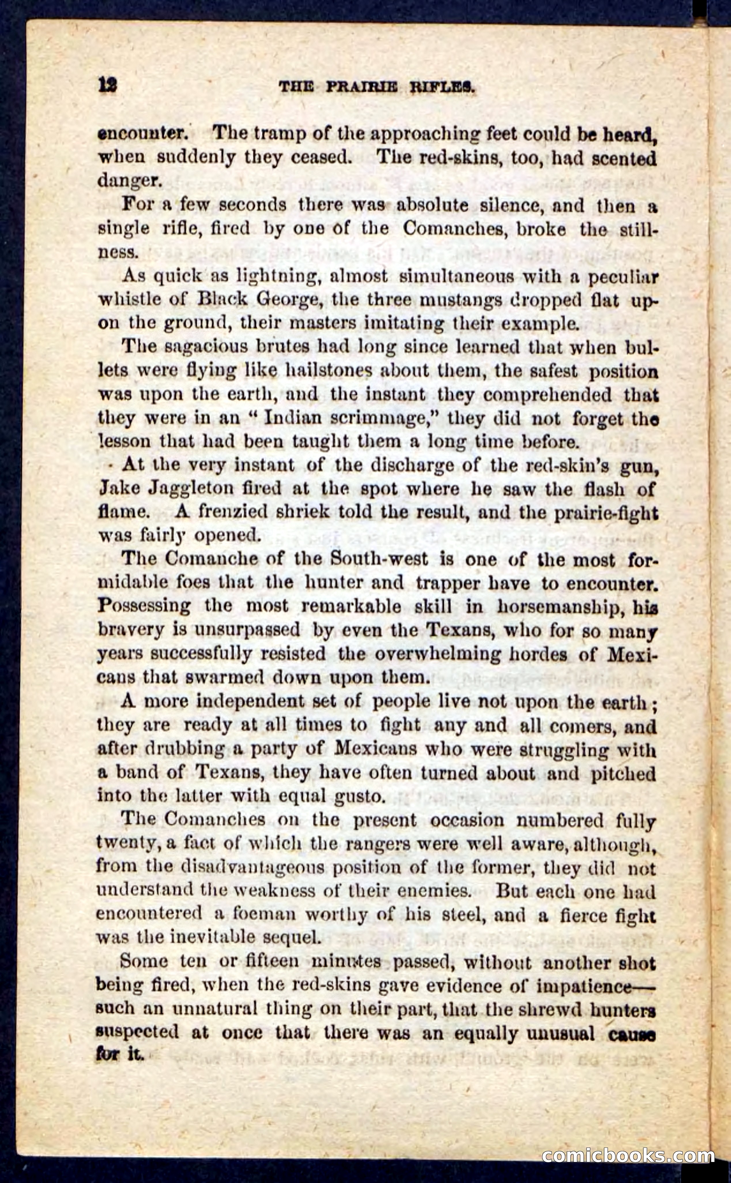 The Prairie Rifles — page 8 of 100