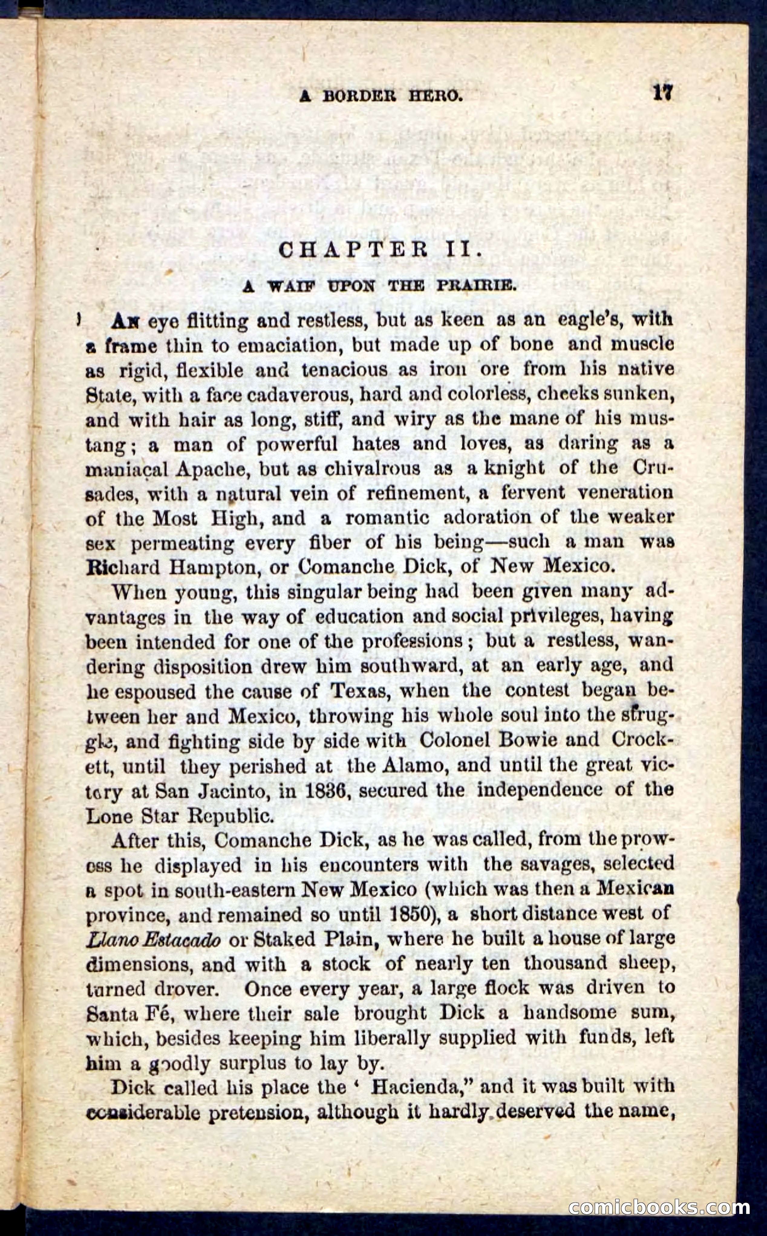 The Prairie Rifles — page 13 of 100