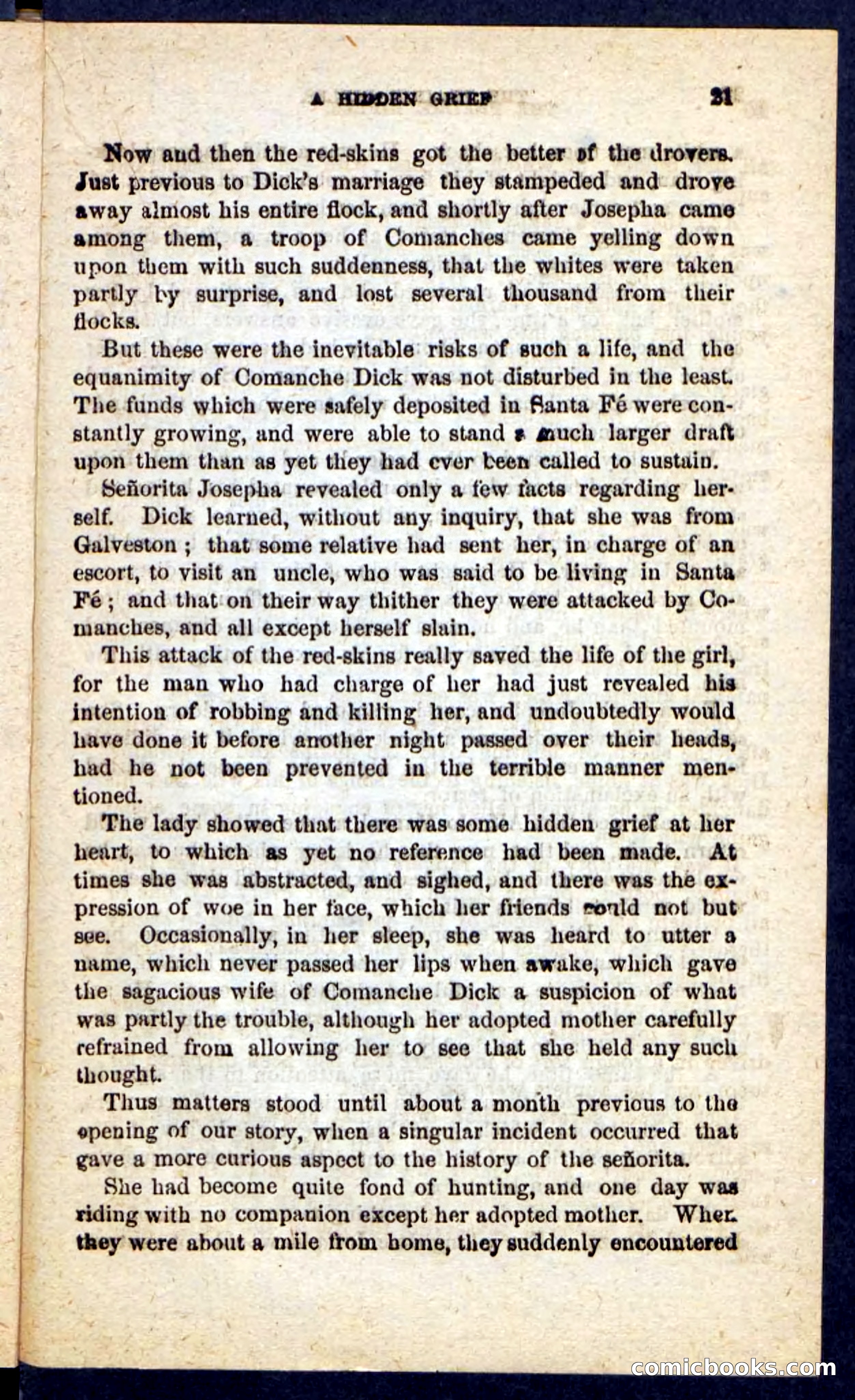 The Prairie Rifles — page 17 of 100