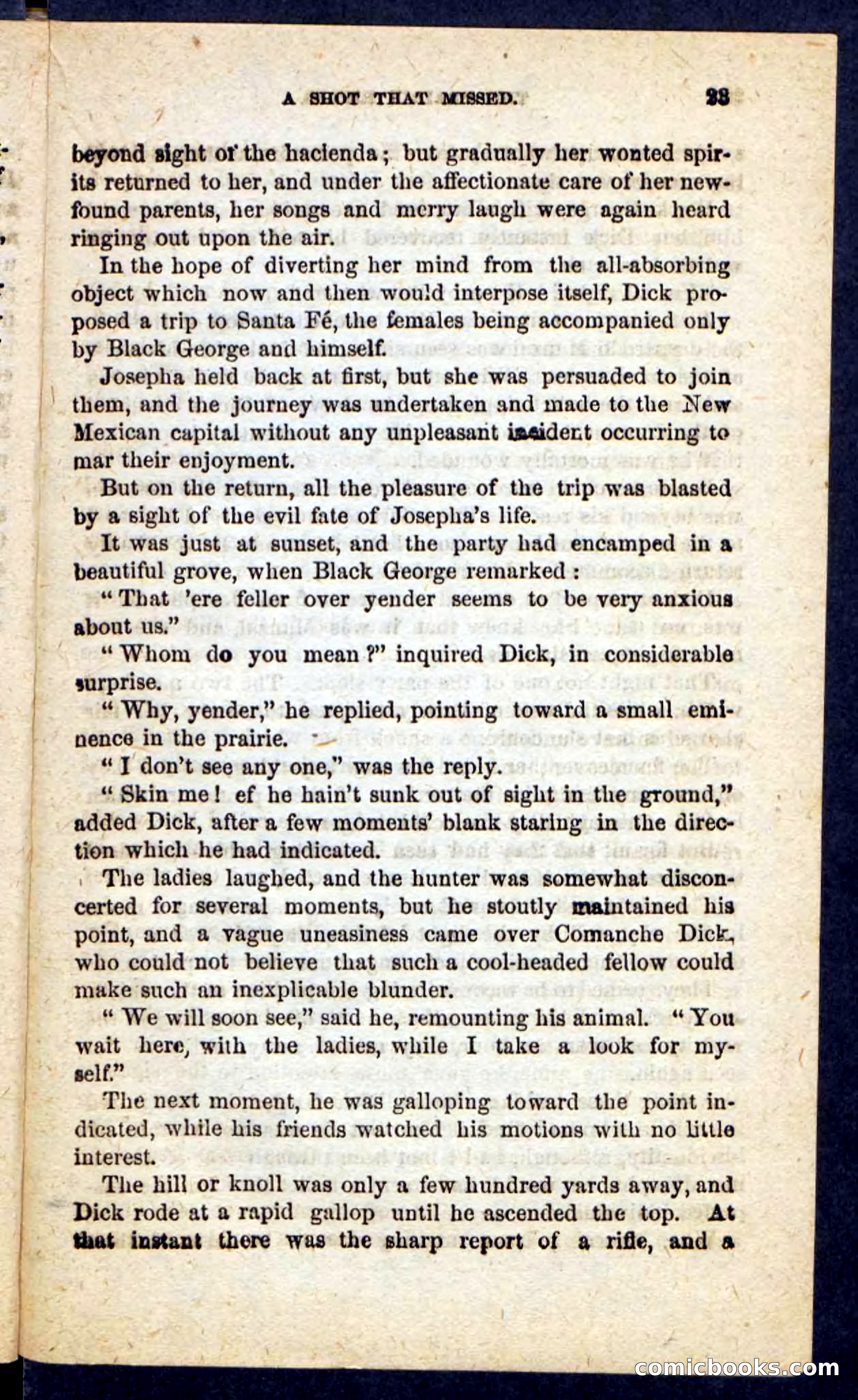 The Prairie Rifles — page 19 of 100