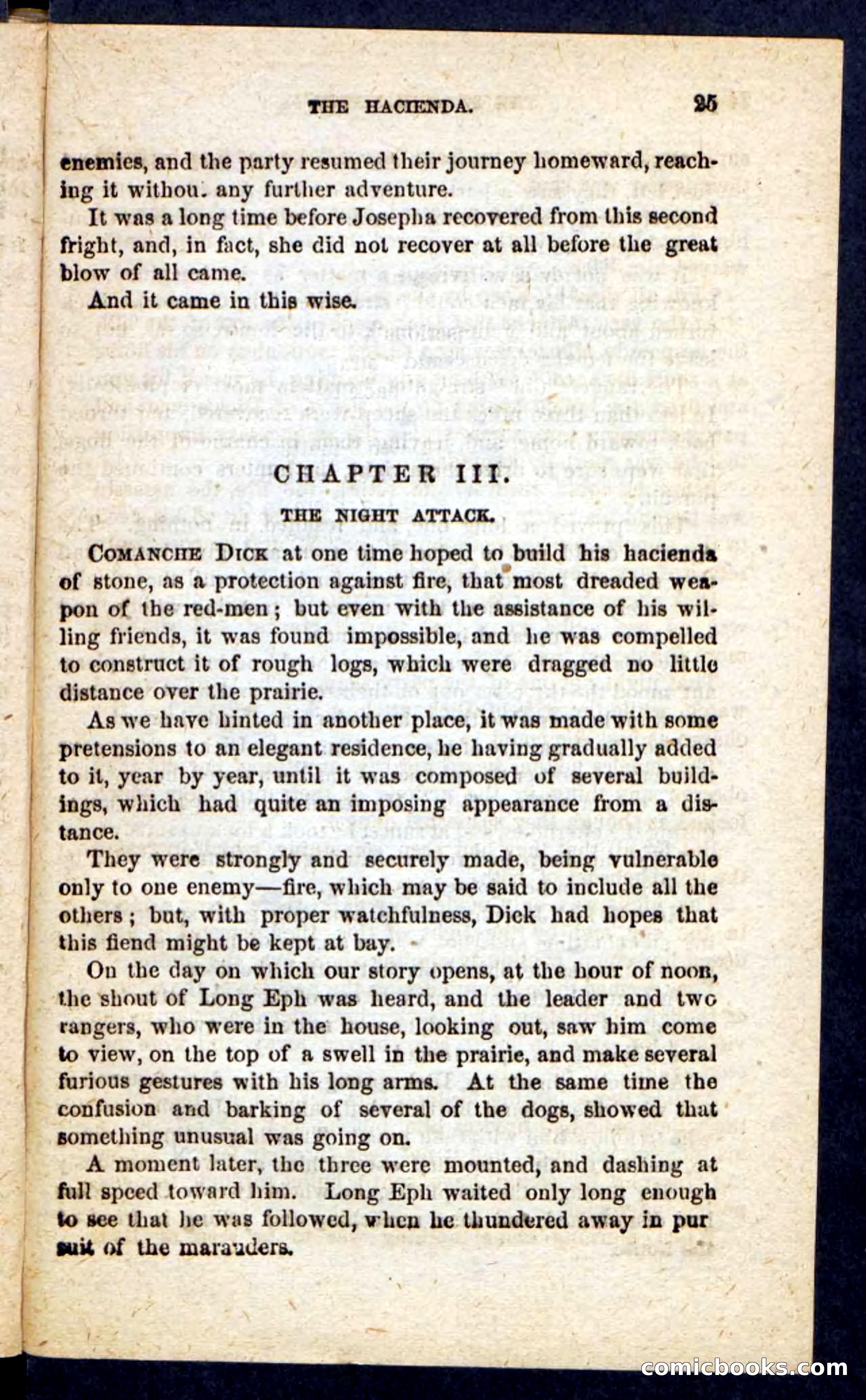 The Prairie Rifles — page 21 of 100