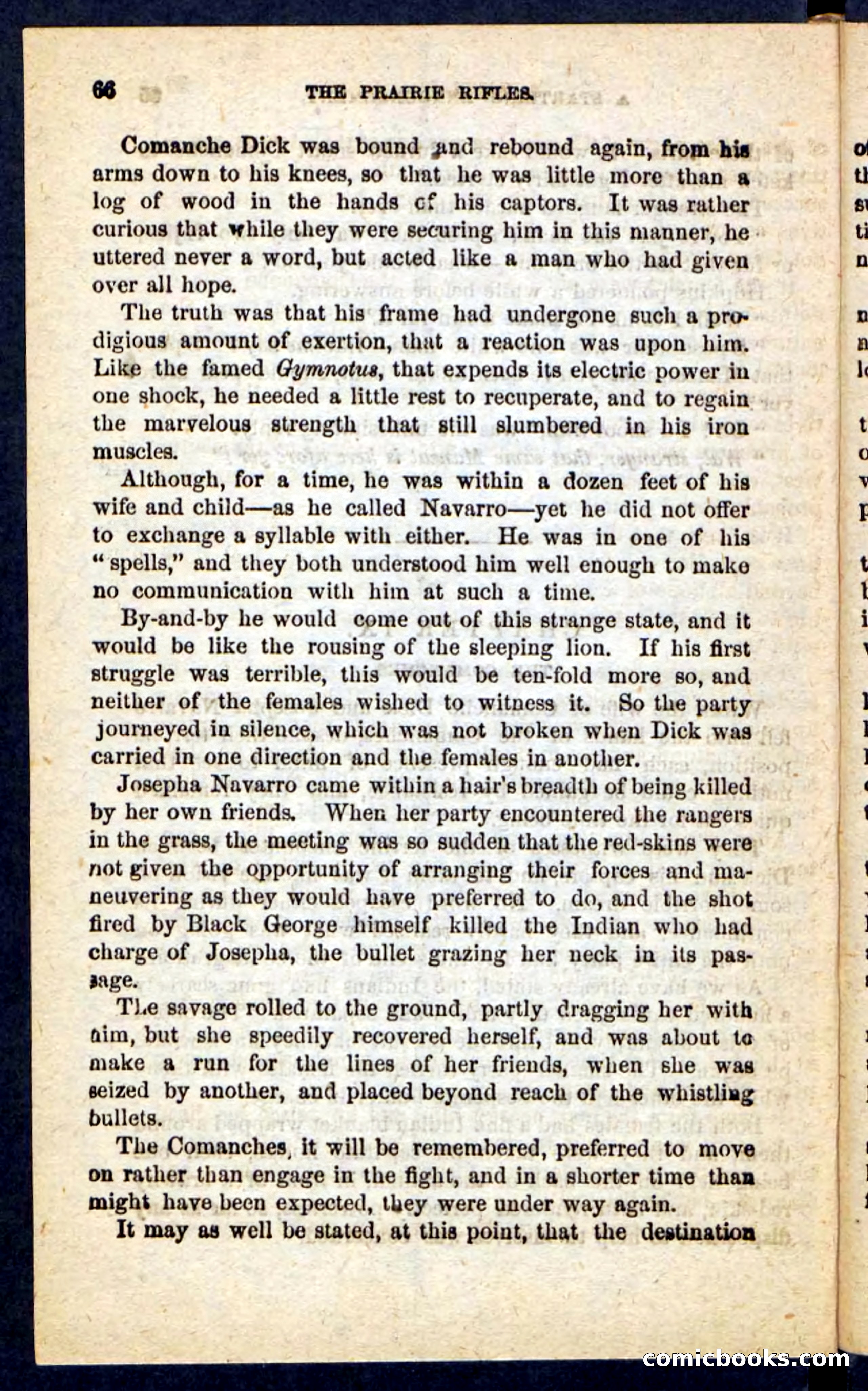 The Prairie Rifles — page 62 of 100