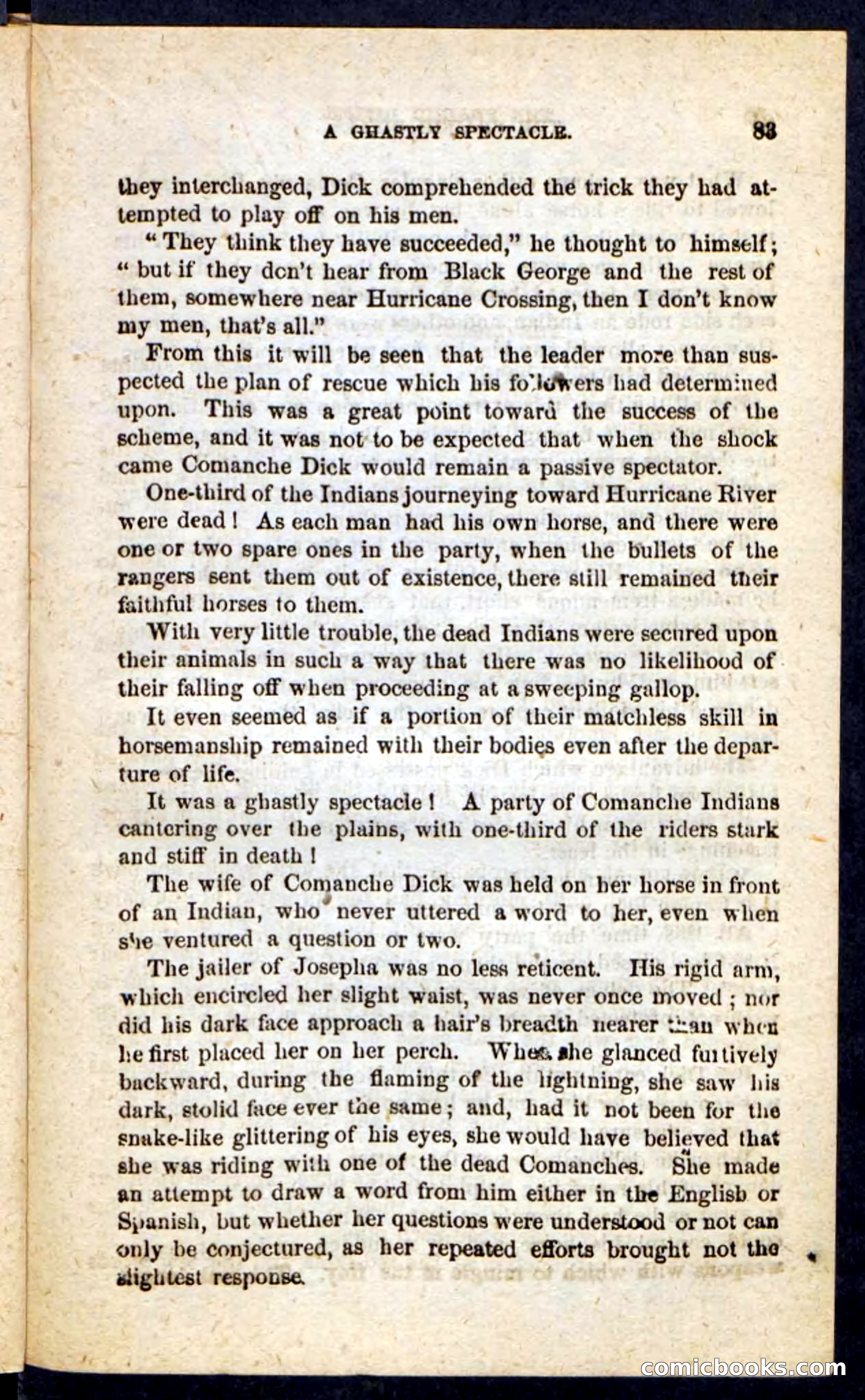 The Prairie Rifles — page 79 of 100