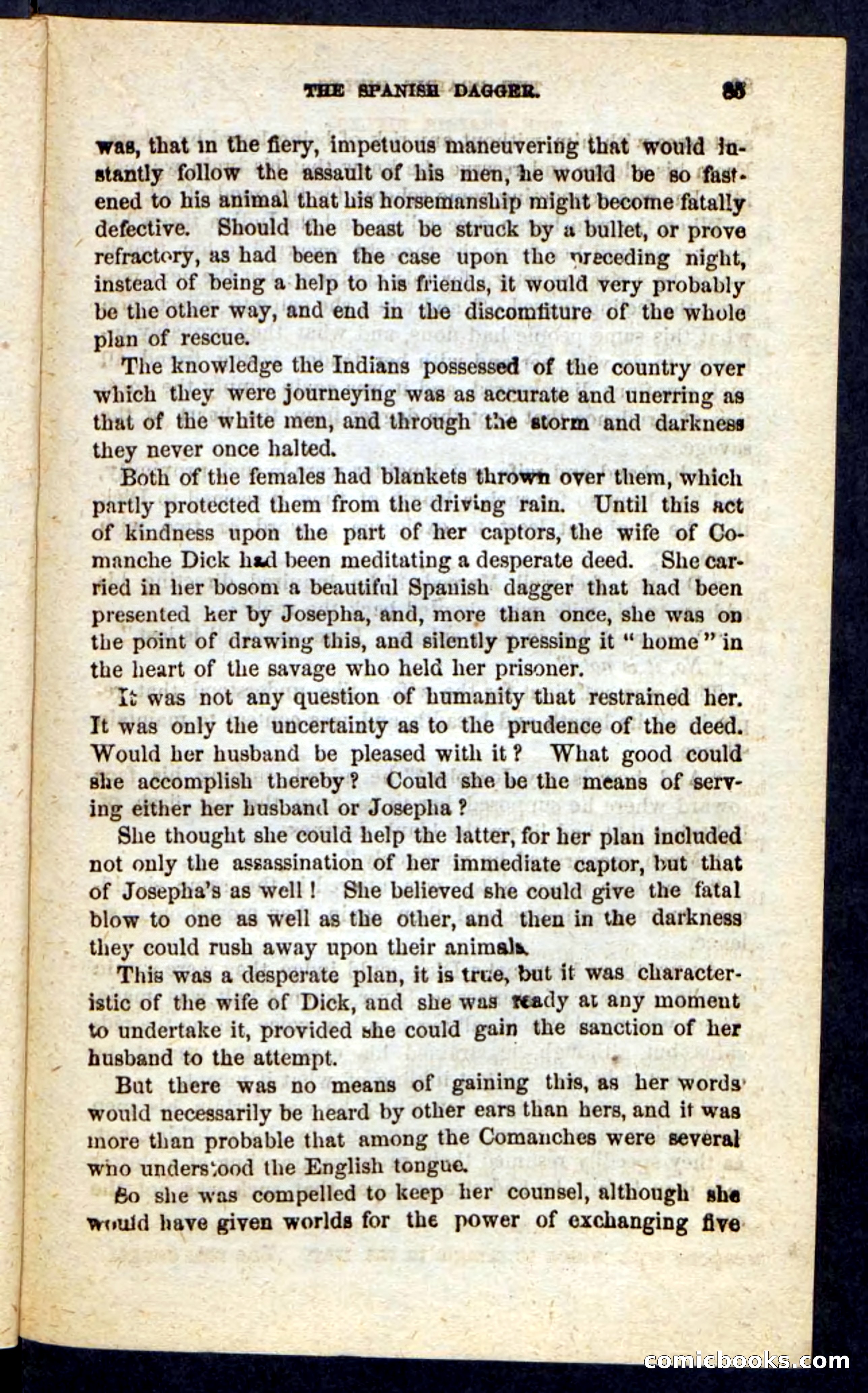 The Prairie Rifles — page 81 of 100