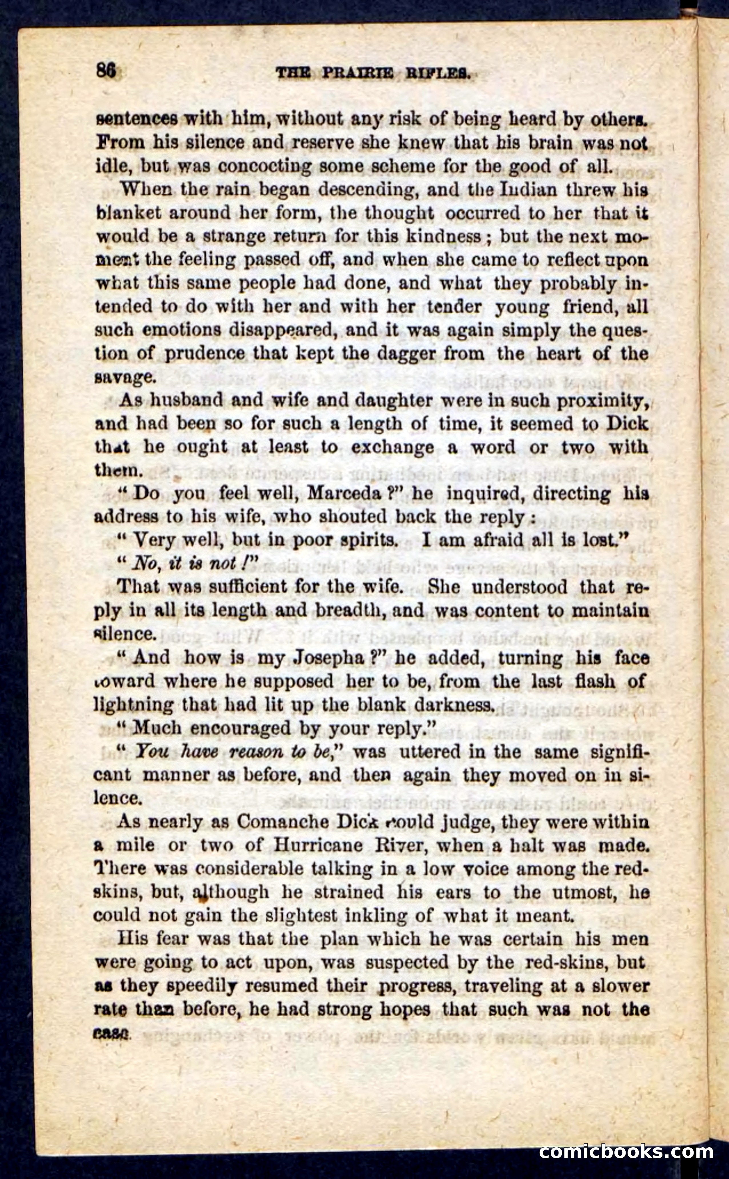 The Prairie Rifles — page 82 of 100