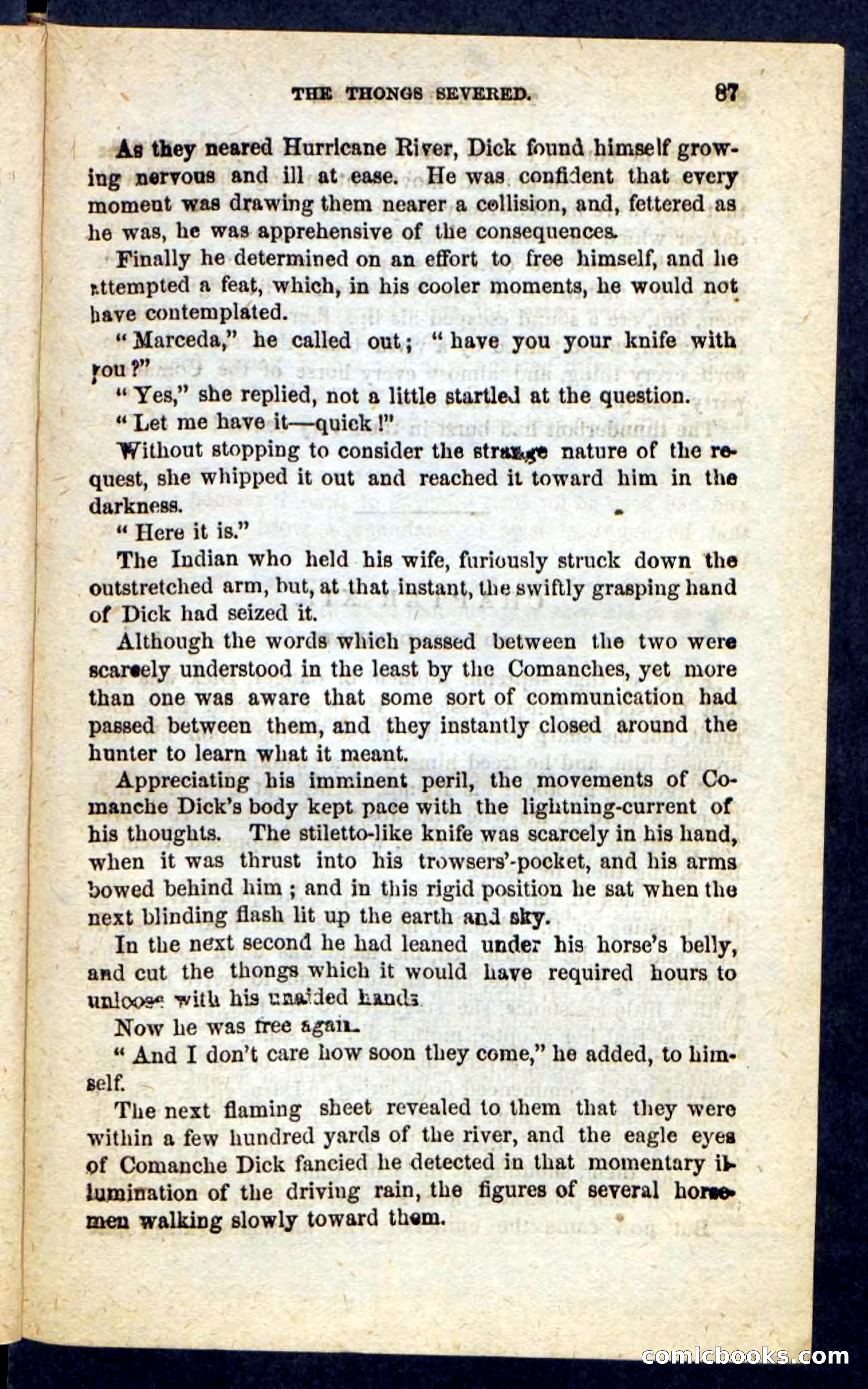 The Prairie Rifles — page 83 of 100