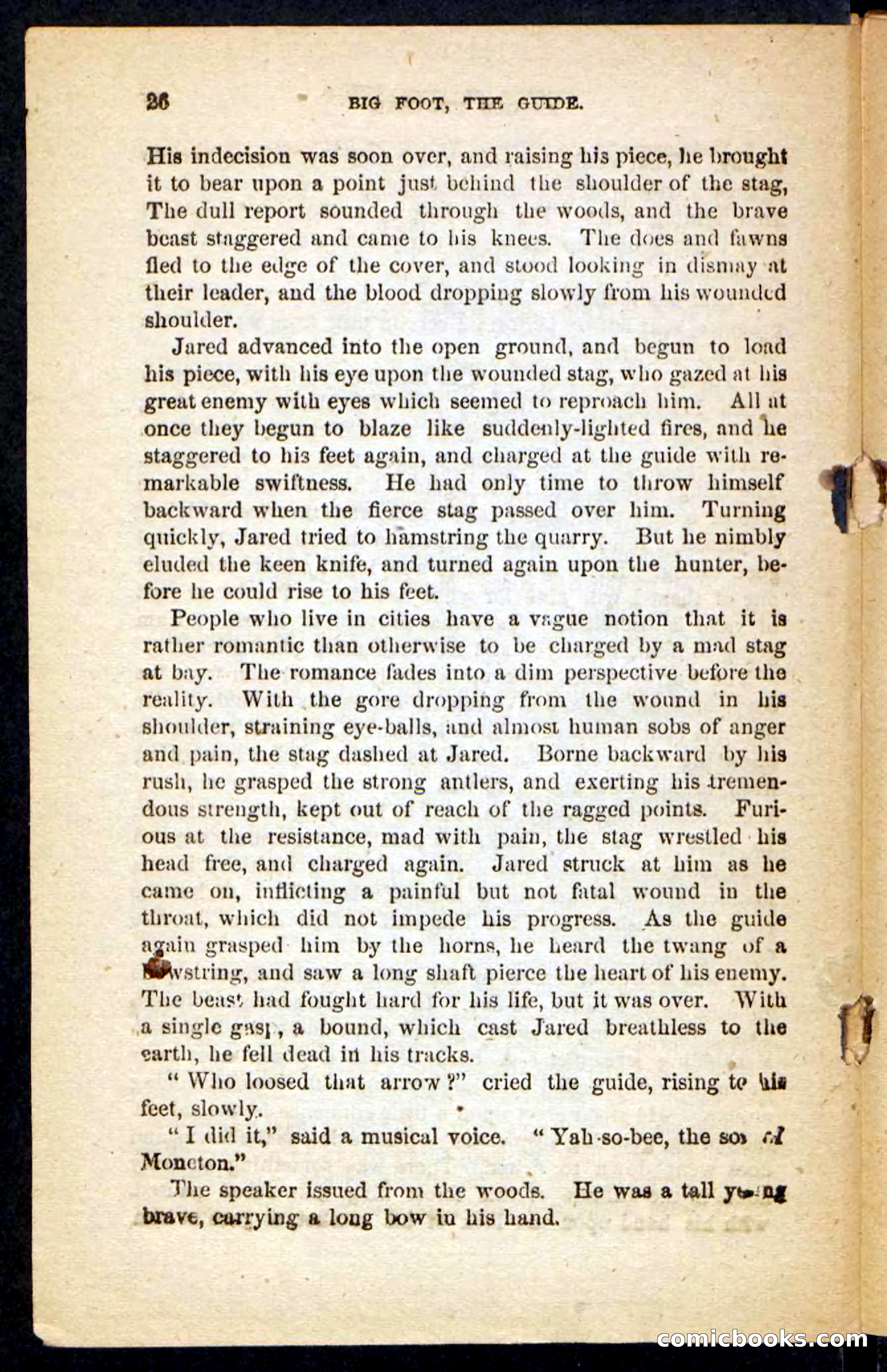 Big Foot, the Guide — page 22 of 100