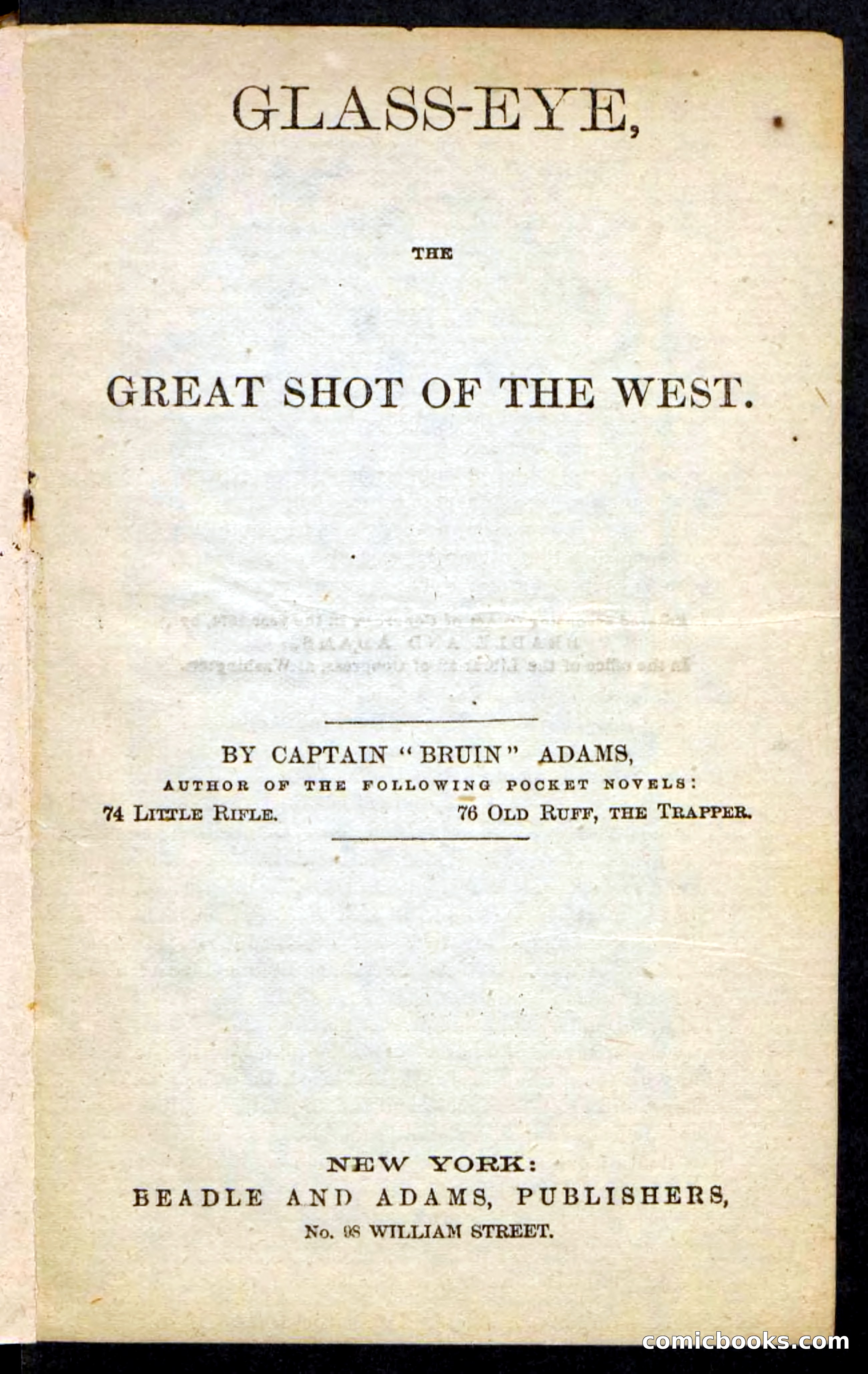 Beadle's Pocket Novels No. 196: Glass-Eye — page 3 of 100