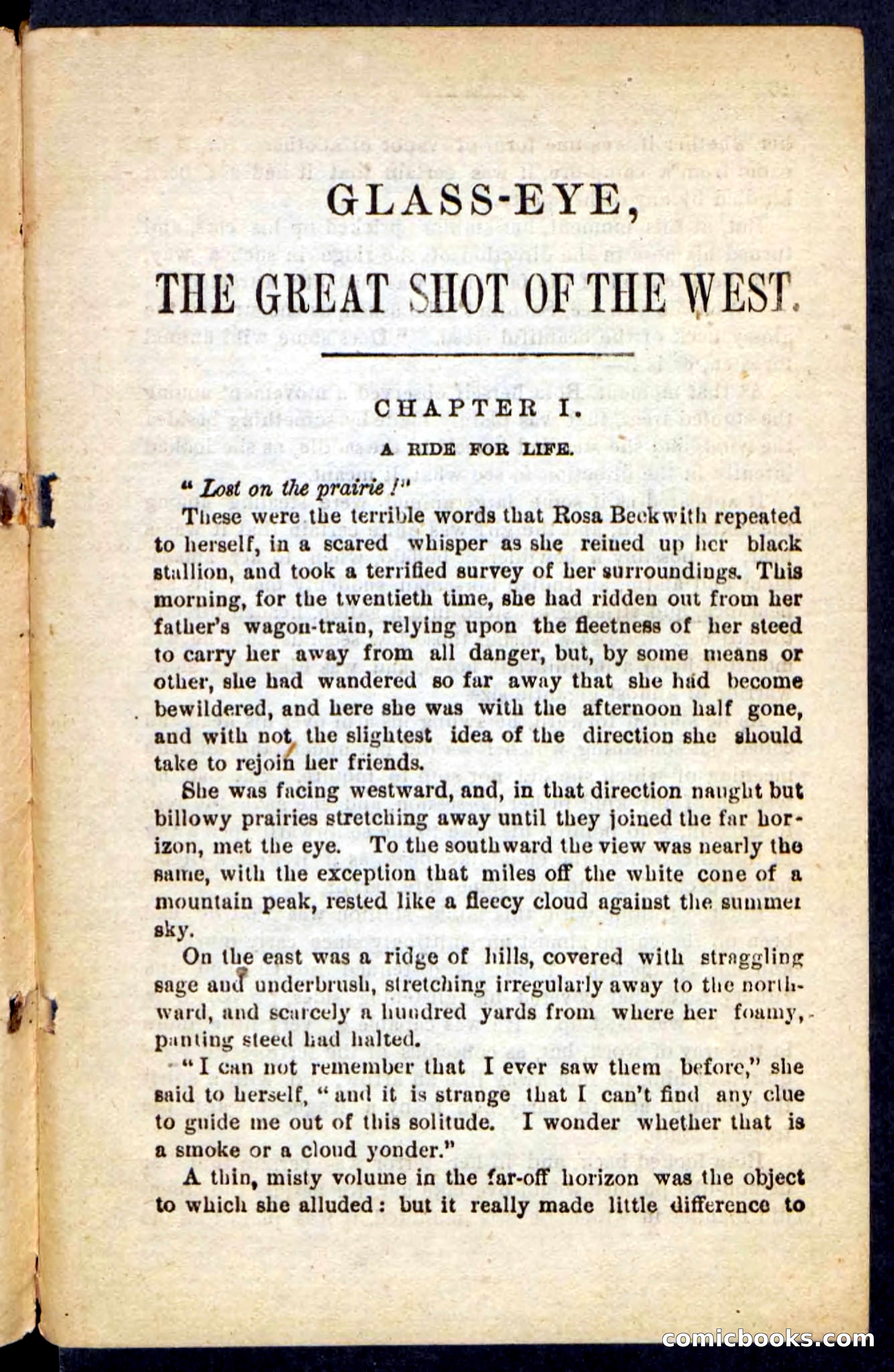 Beadle's Pocket Novels No. 196: Glass-Eye — page 5 of 100