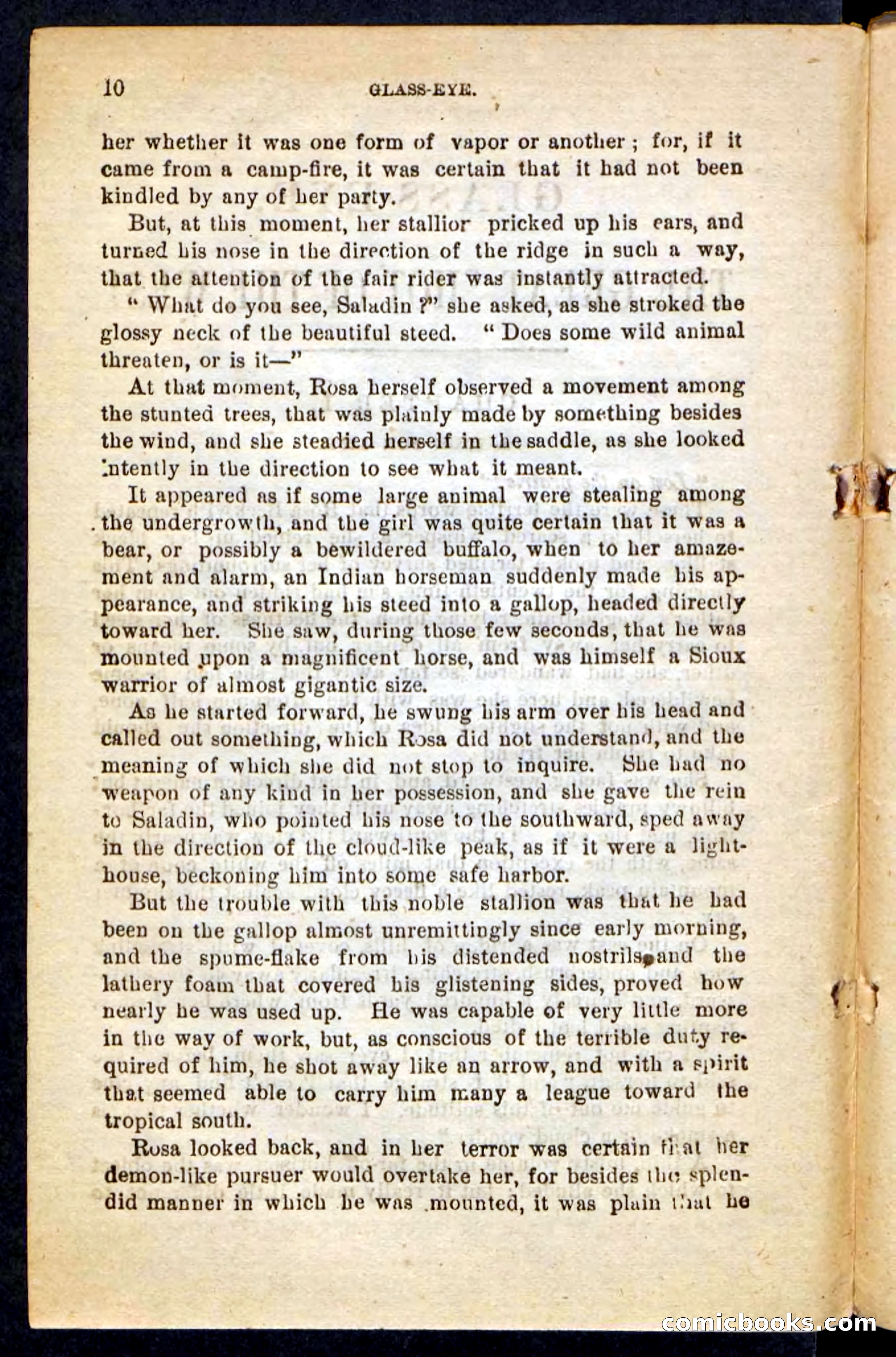 Beadle's Pocket Novels No. 196: Glass-Eye — page 6 of 100