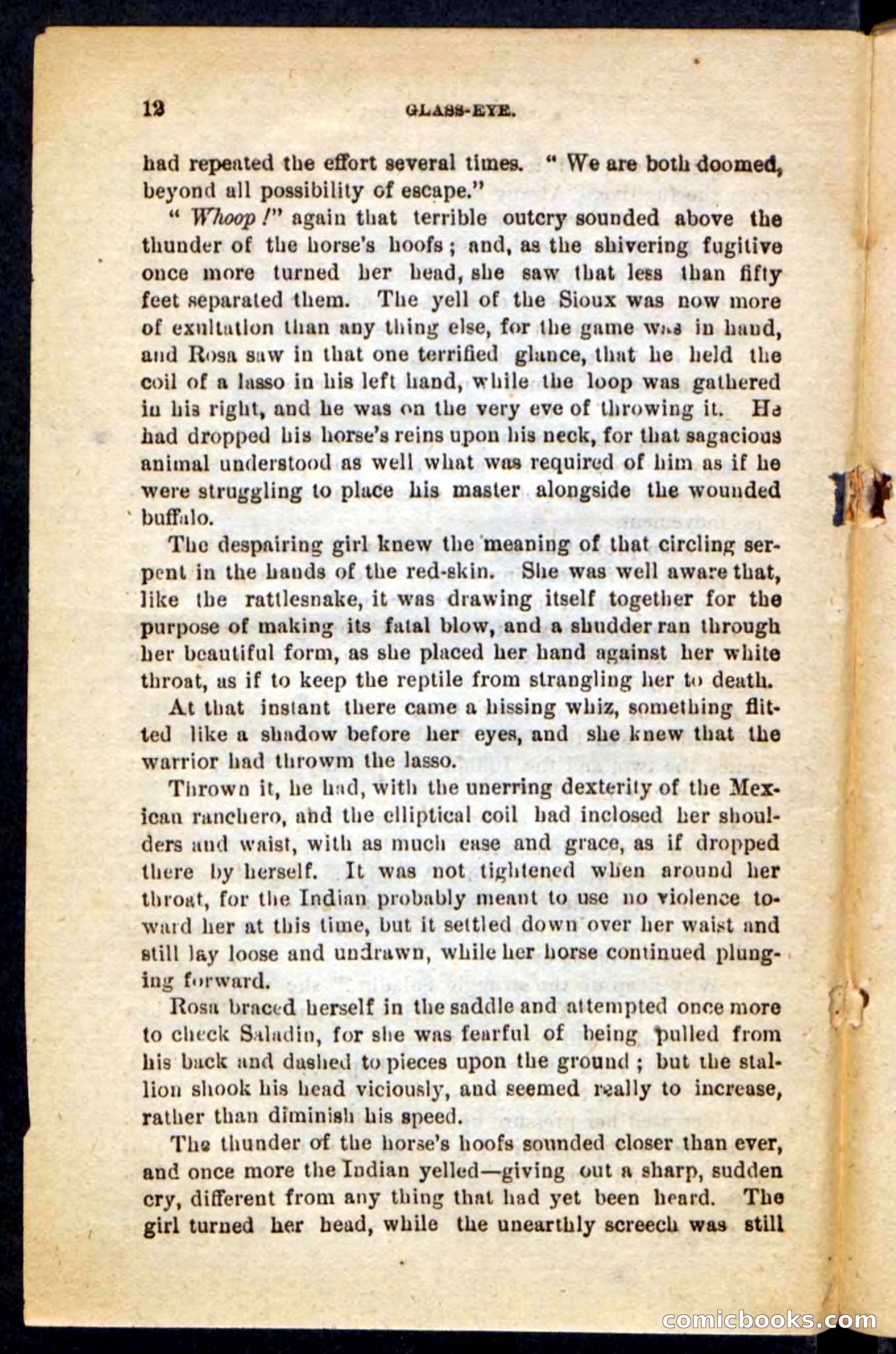 Beadle's Pocket Novels No. 196: Glass-Eye — page 8 of 100
