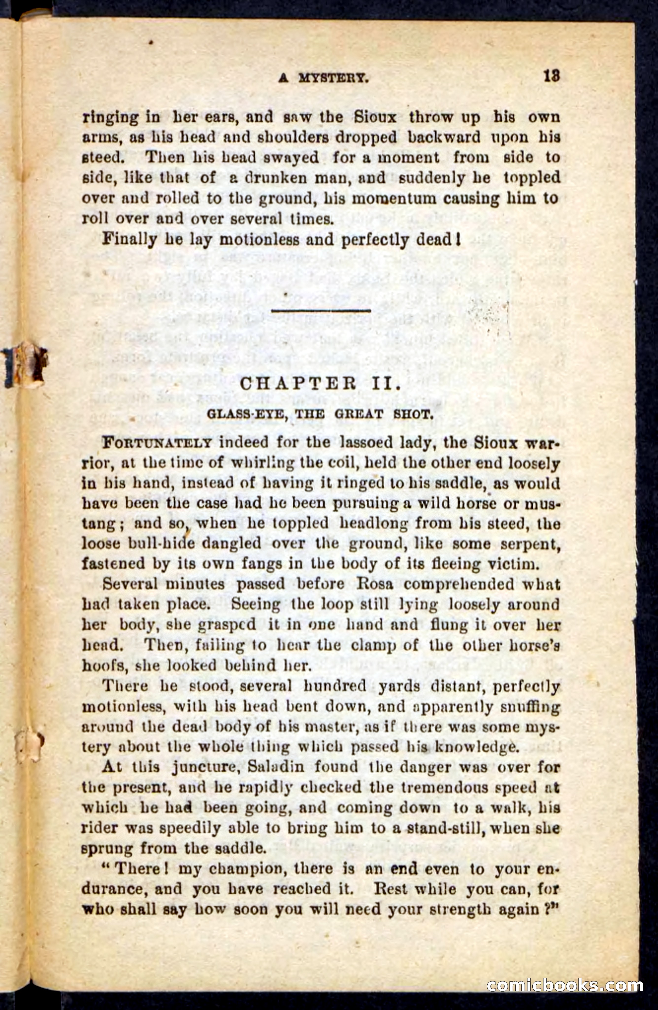 Beadle's Pocket Novels No. 196: Glass-Eye — page 9 of 100