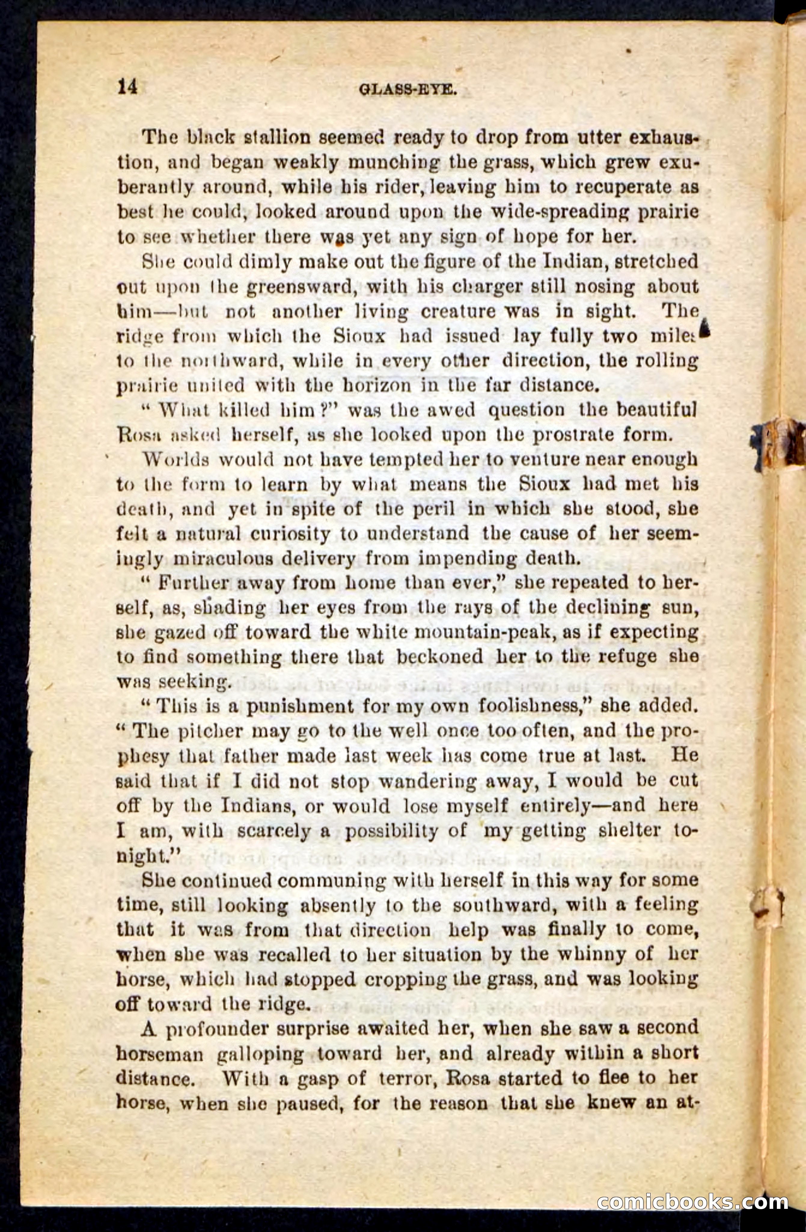 Beadle's Pocket Novels No. 196: Glass-Eye — page 10 of 100