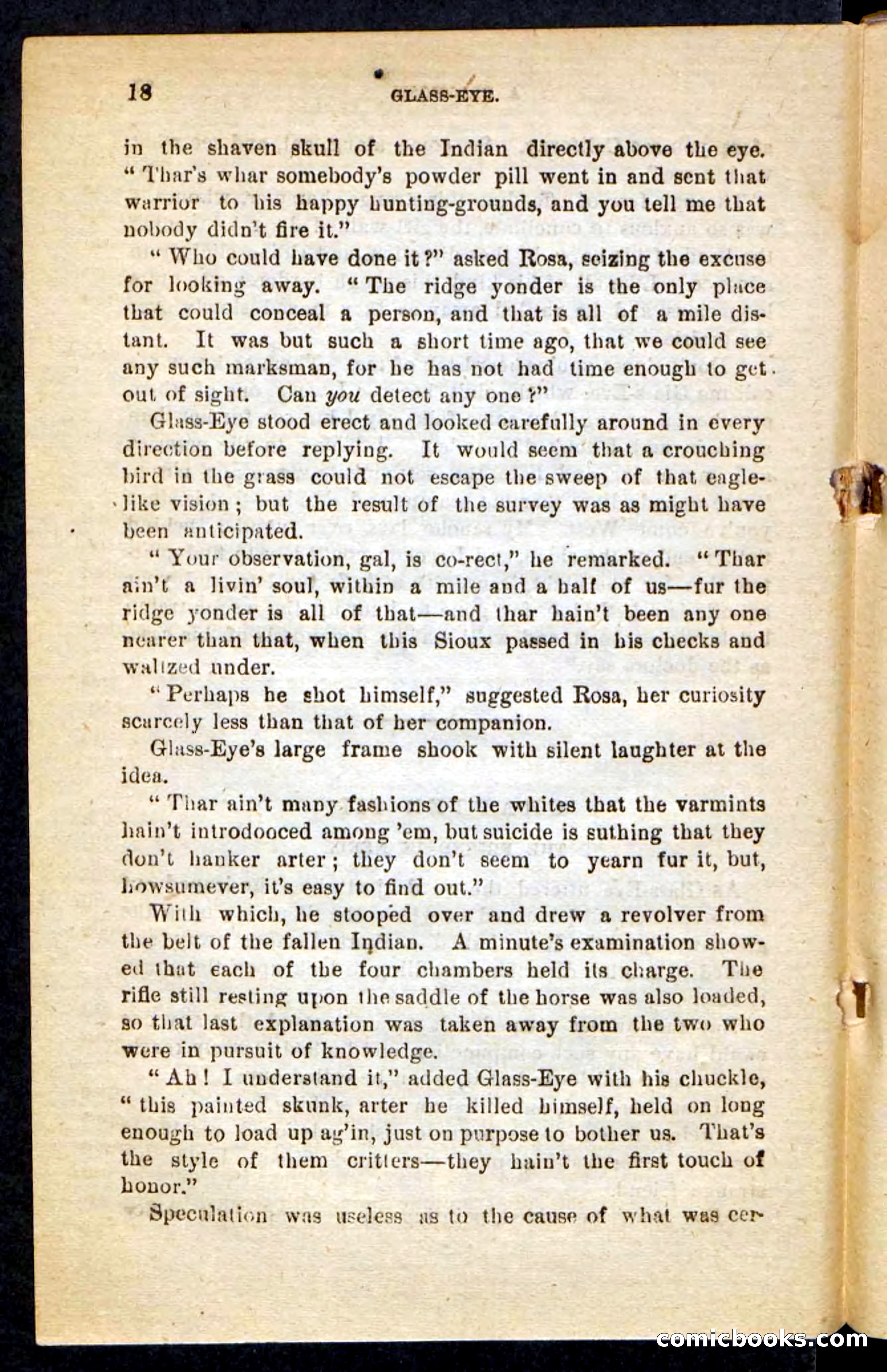 Beadle's Pocket Novels No. 196: Glass-Eye — page 14 of 100