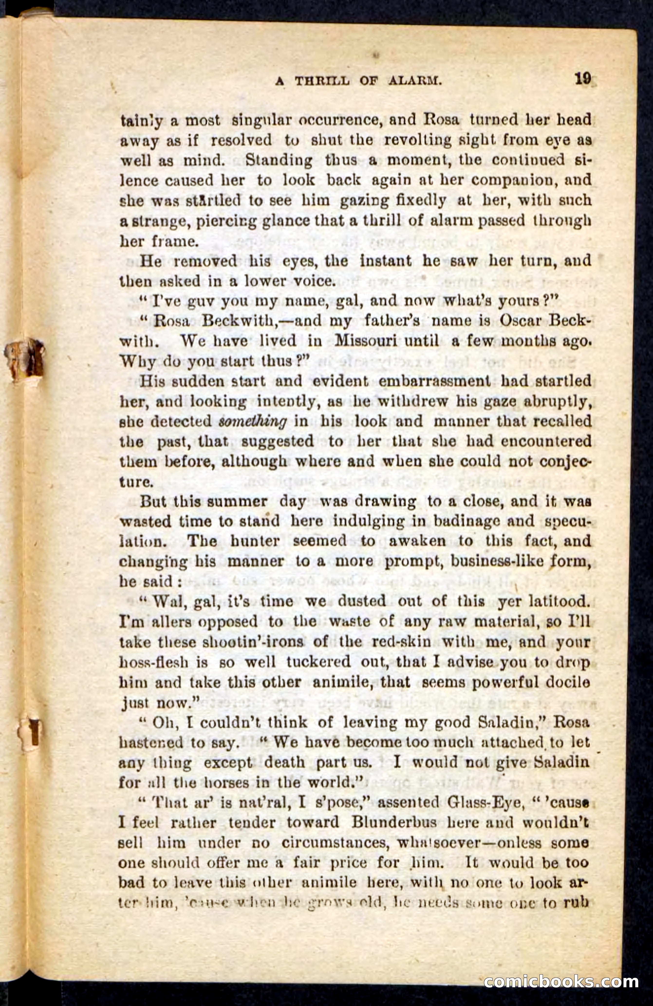 Beadle's Pocket Novels No. 196: Glass-Eye — page 15 of 100
