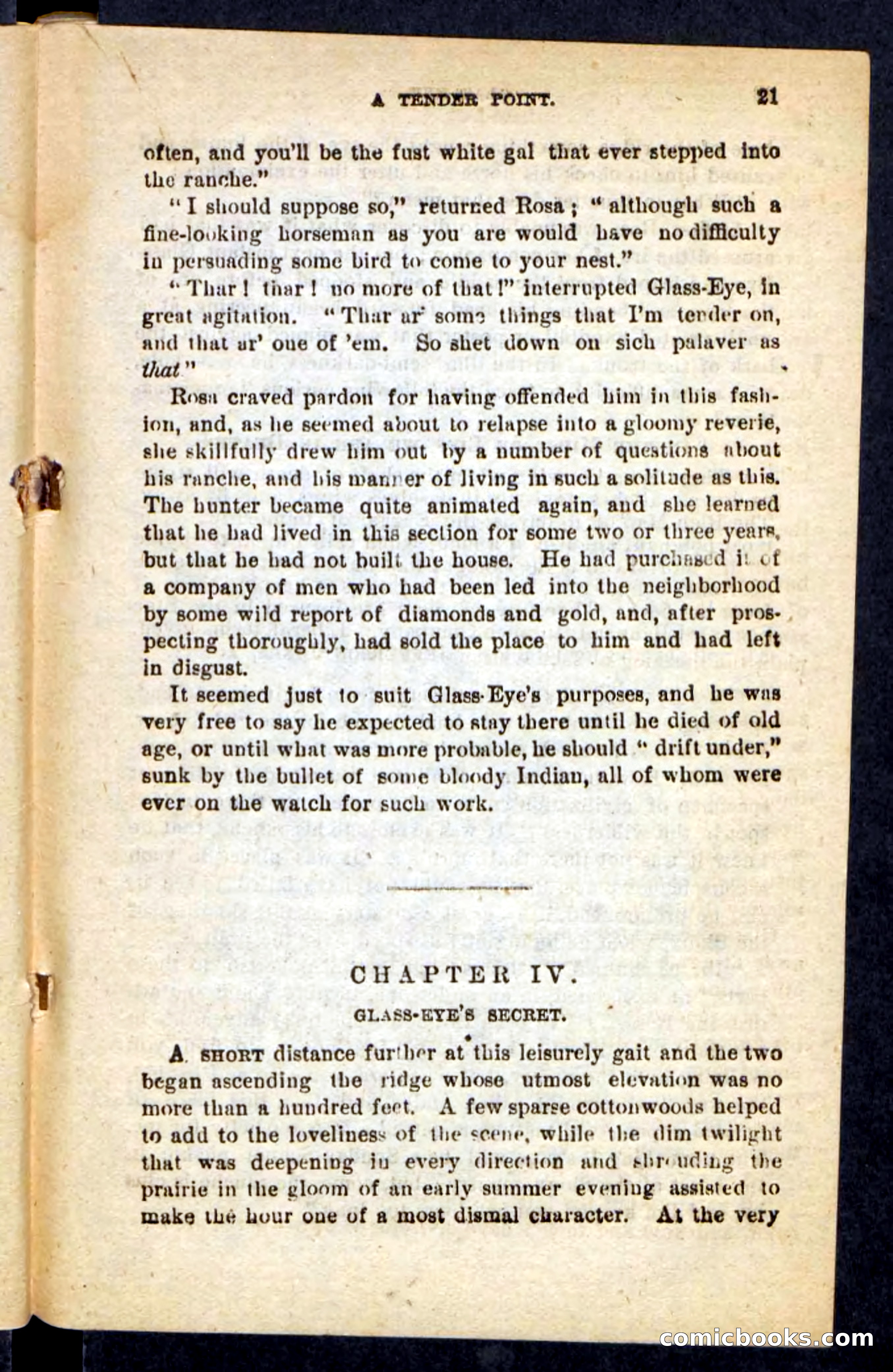 Beadle's Pocket Novels No. 196: Glass-Eye — page 17 of 100