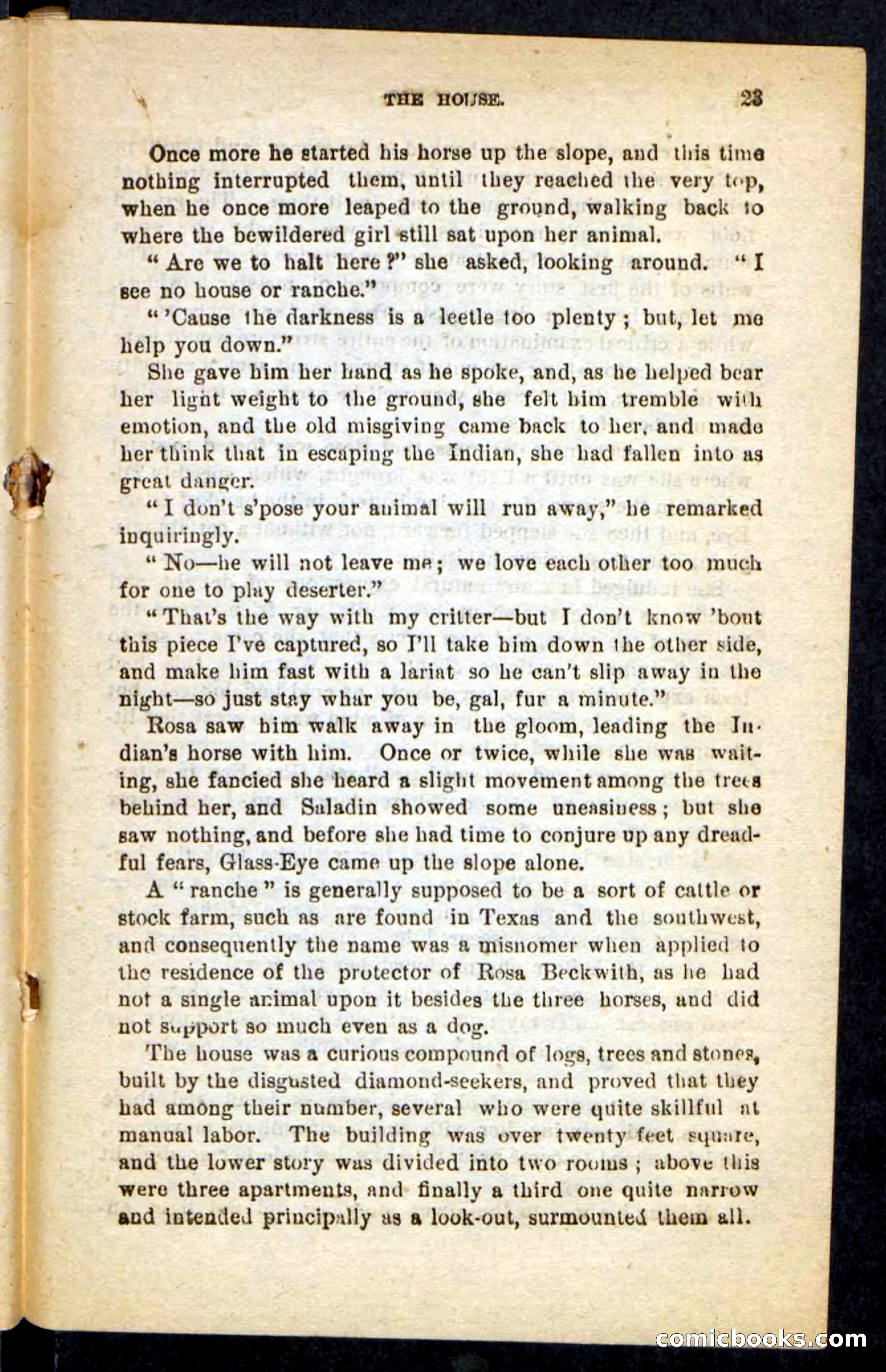 Beadle's Pocket Novels No. 196: Glass-Eye — page 19 of 100