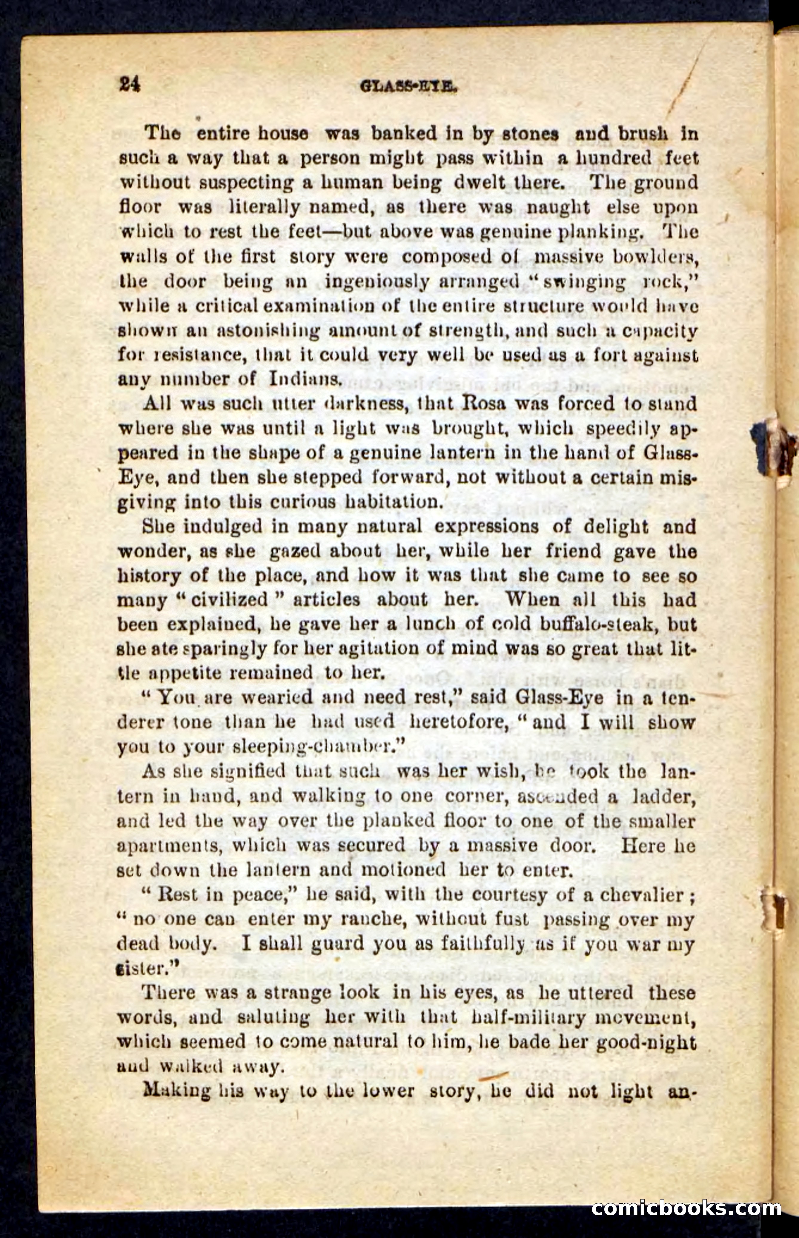 Beadle's Pocket Novels No. 196: Glass-Eye — page 20 of 100