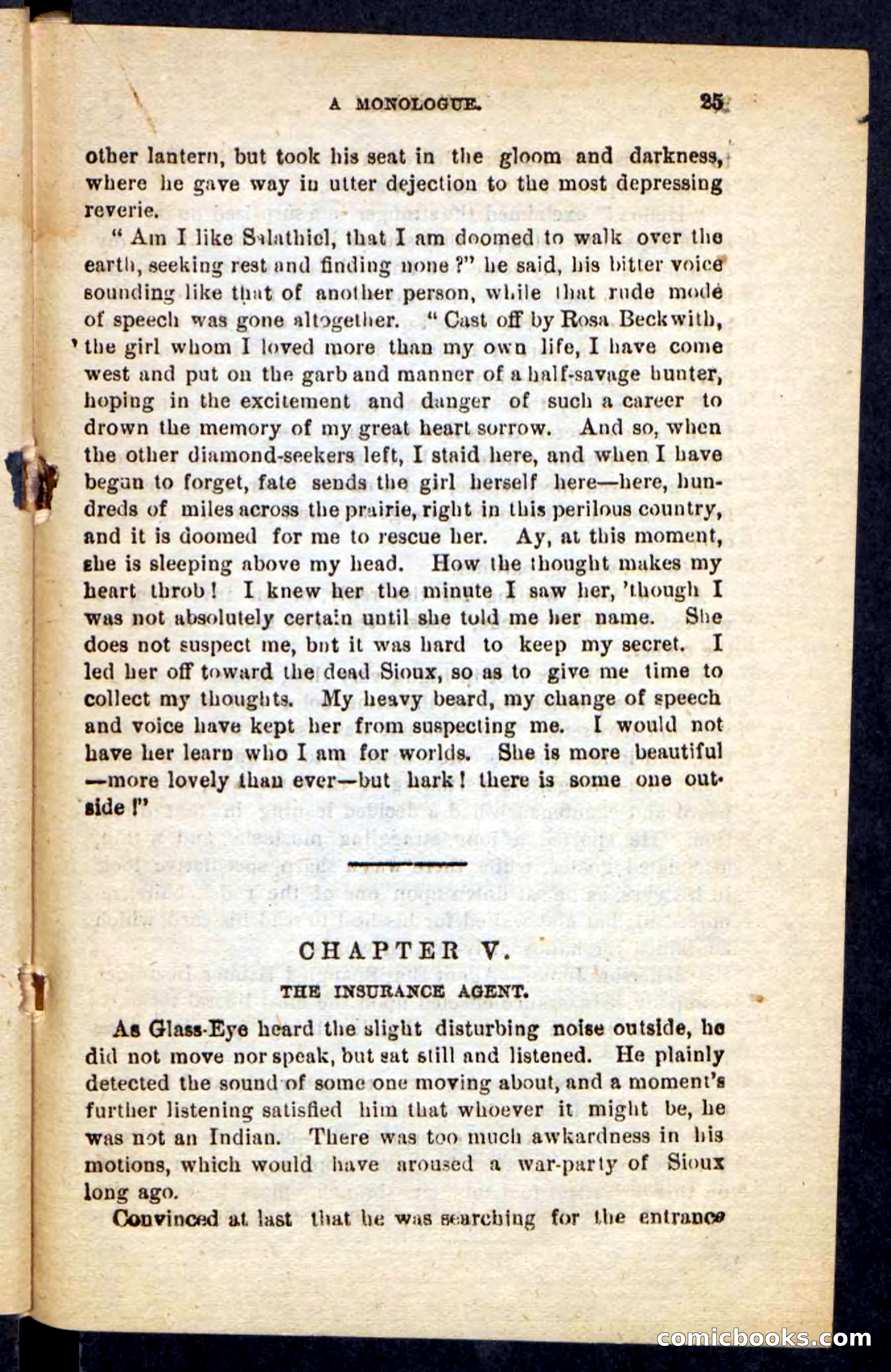 Beadle's Pocket Novels No. 196: Glass-Eye — page 21 of 100