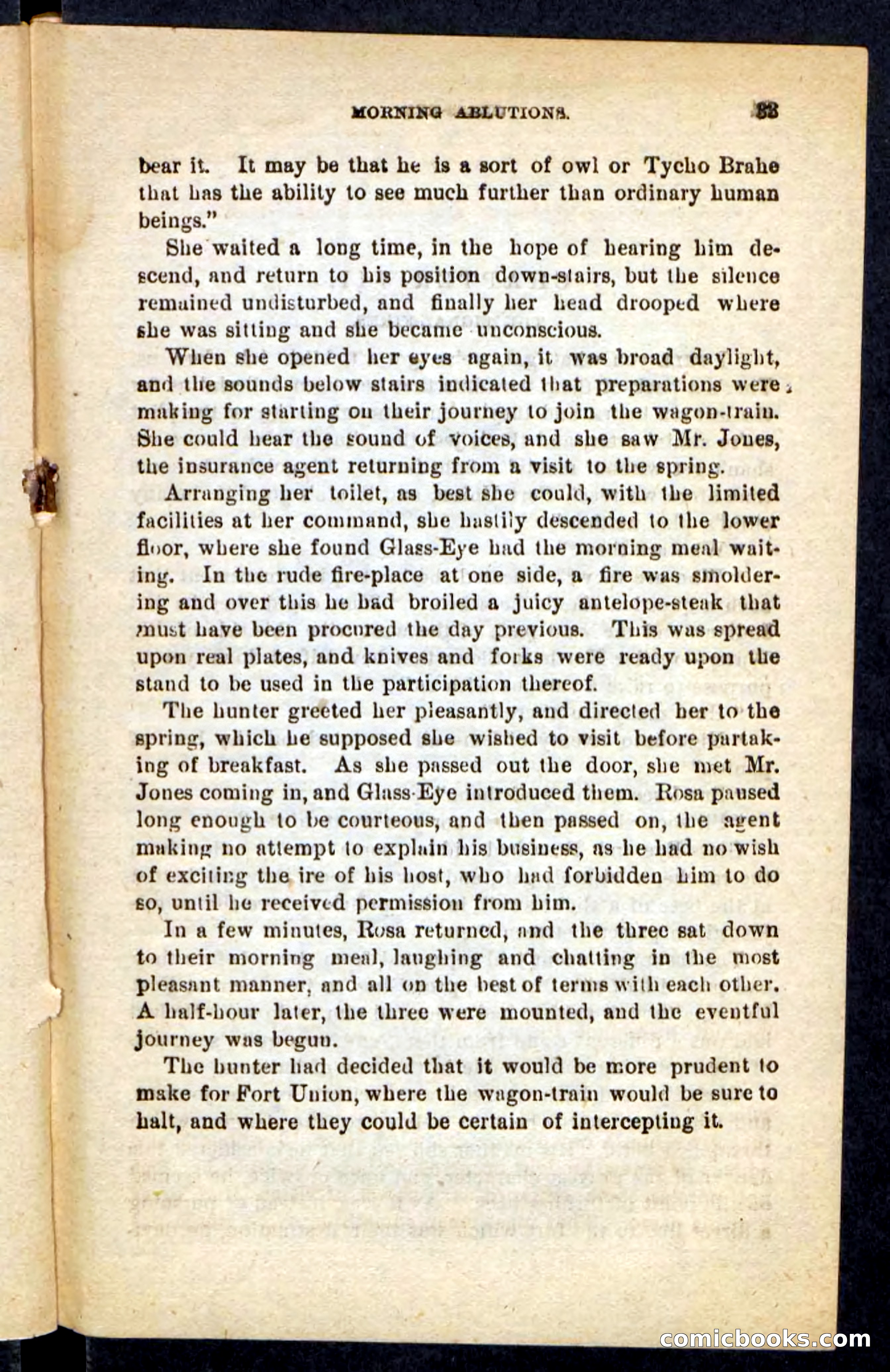 Beadle's Pocket Novels No. 196: Glass-Eye — page 29 of 100