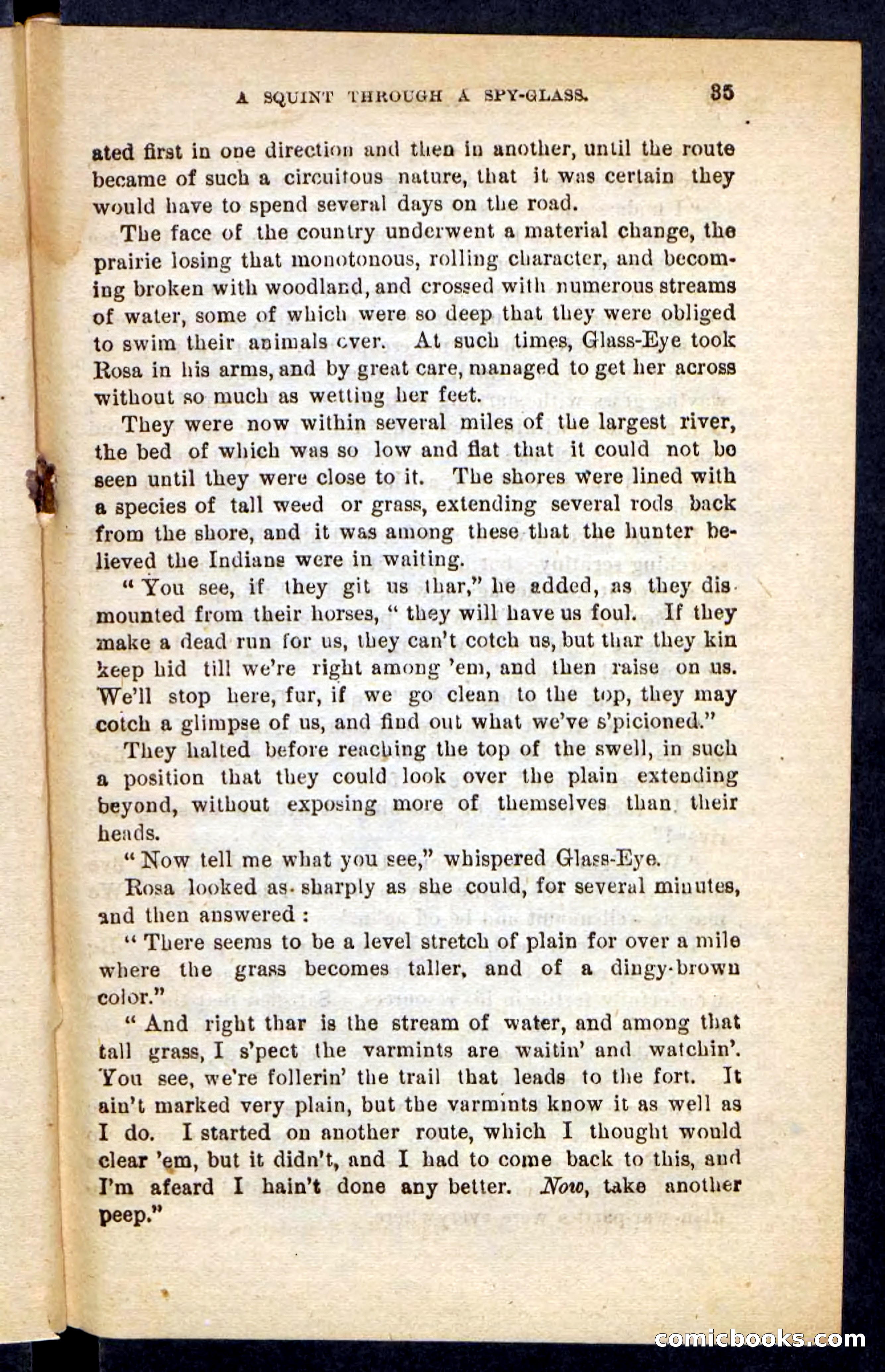 Beadle's Pocket Novels No. 196: Glass-Eye — page 31 of 100