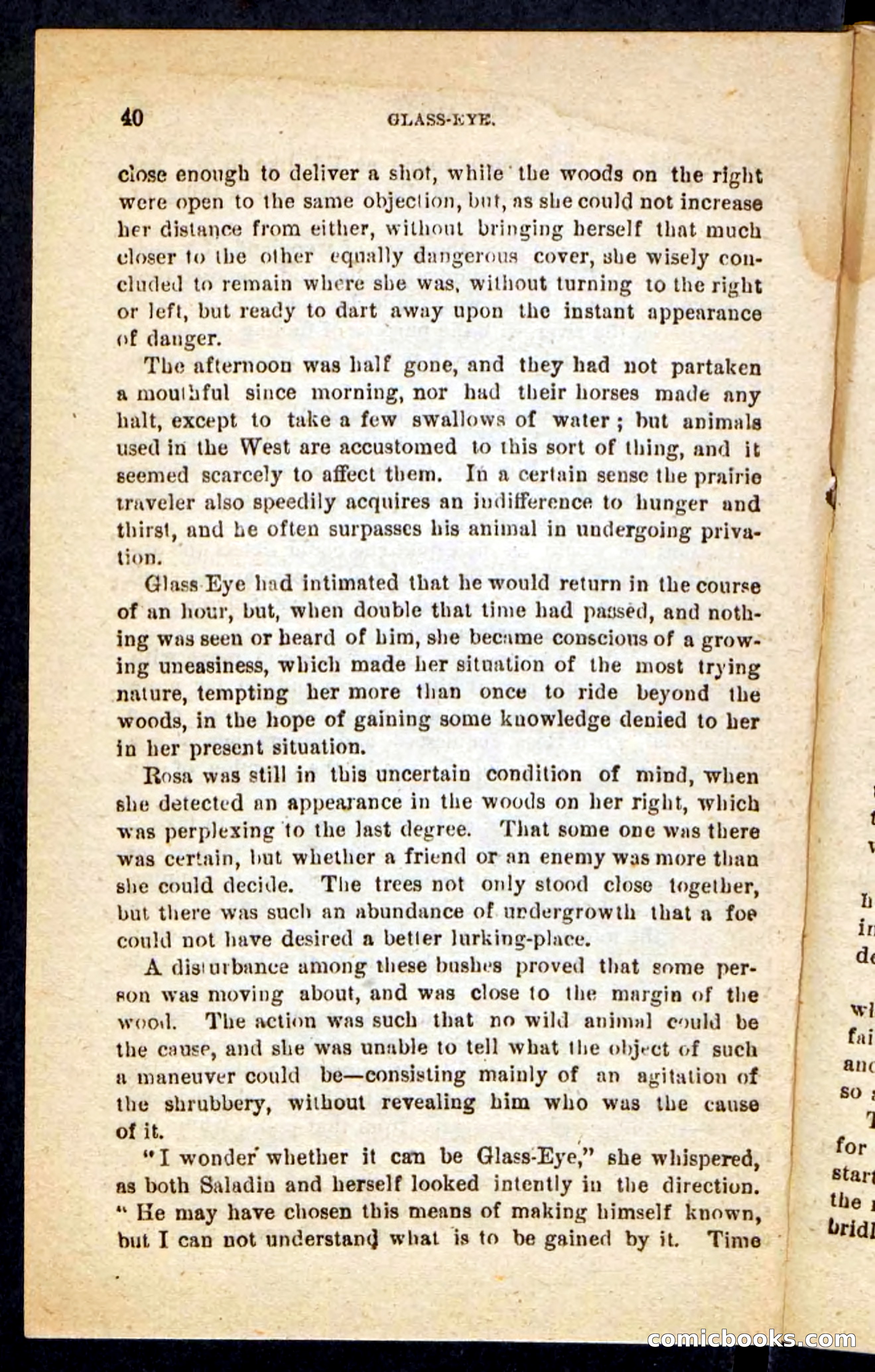Beadle's Pocket Novels No. 196: Glass-Eye — page 36 of 100
