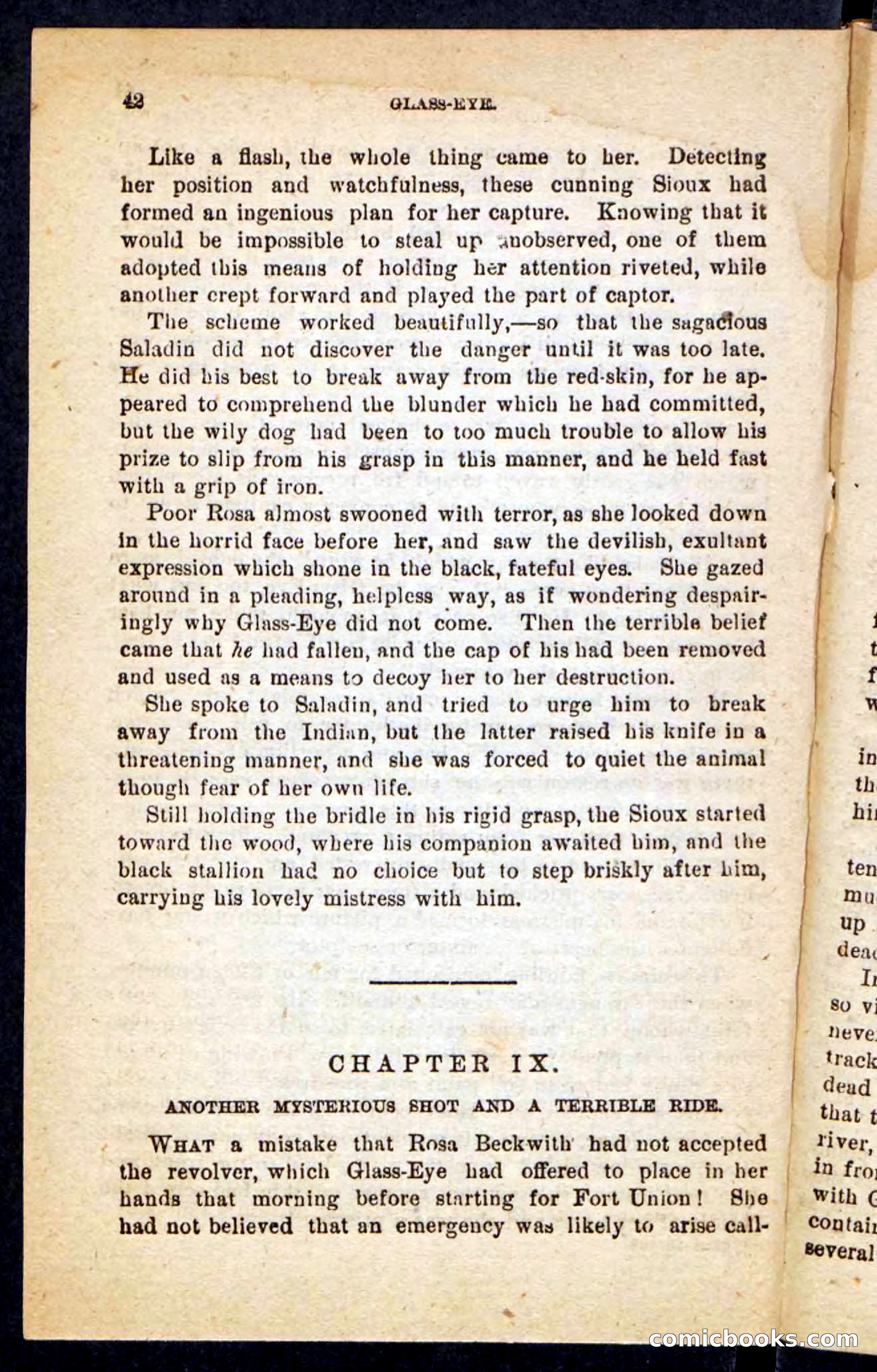 Beadle's Pocket Novels No. 196: Glass-Eye — page 38 of 100