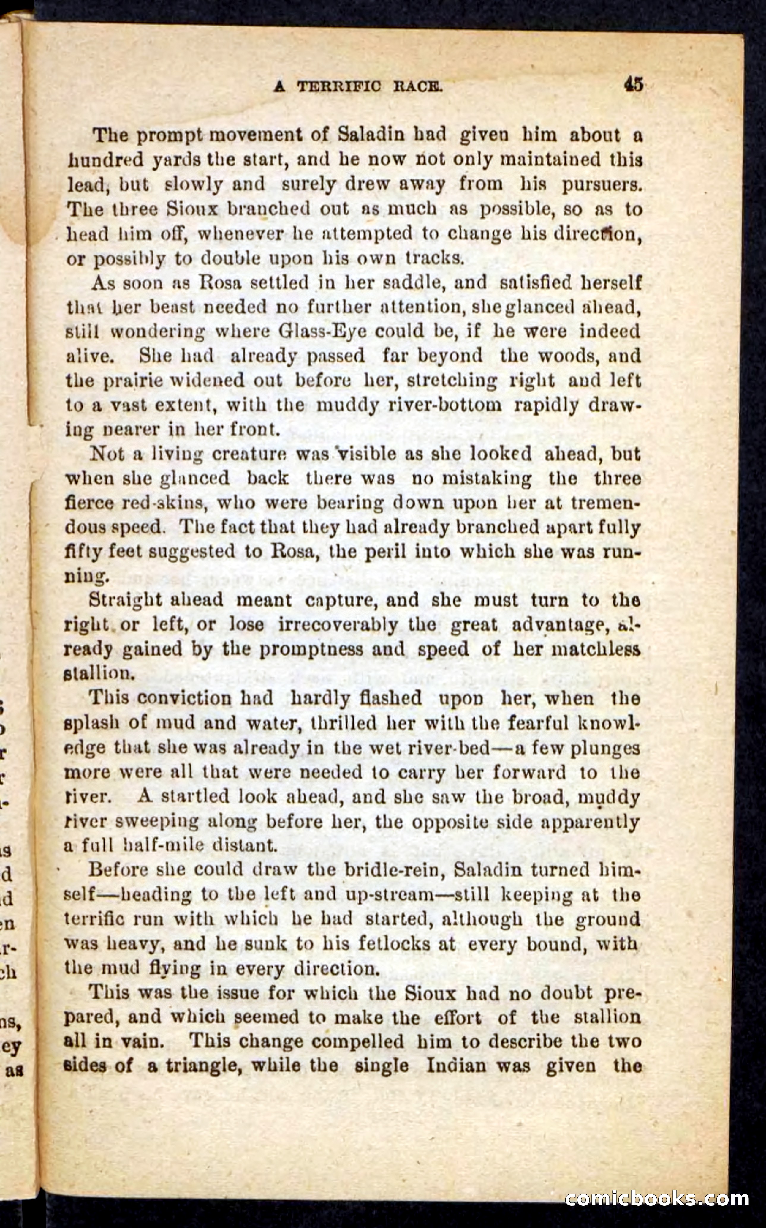 Beadle's Pocket Novels No. 196: Glass-Eye — page 41 of 100