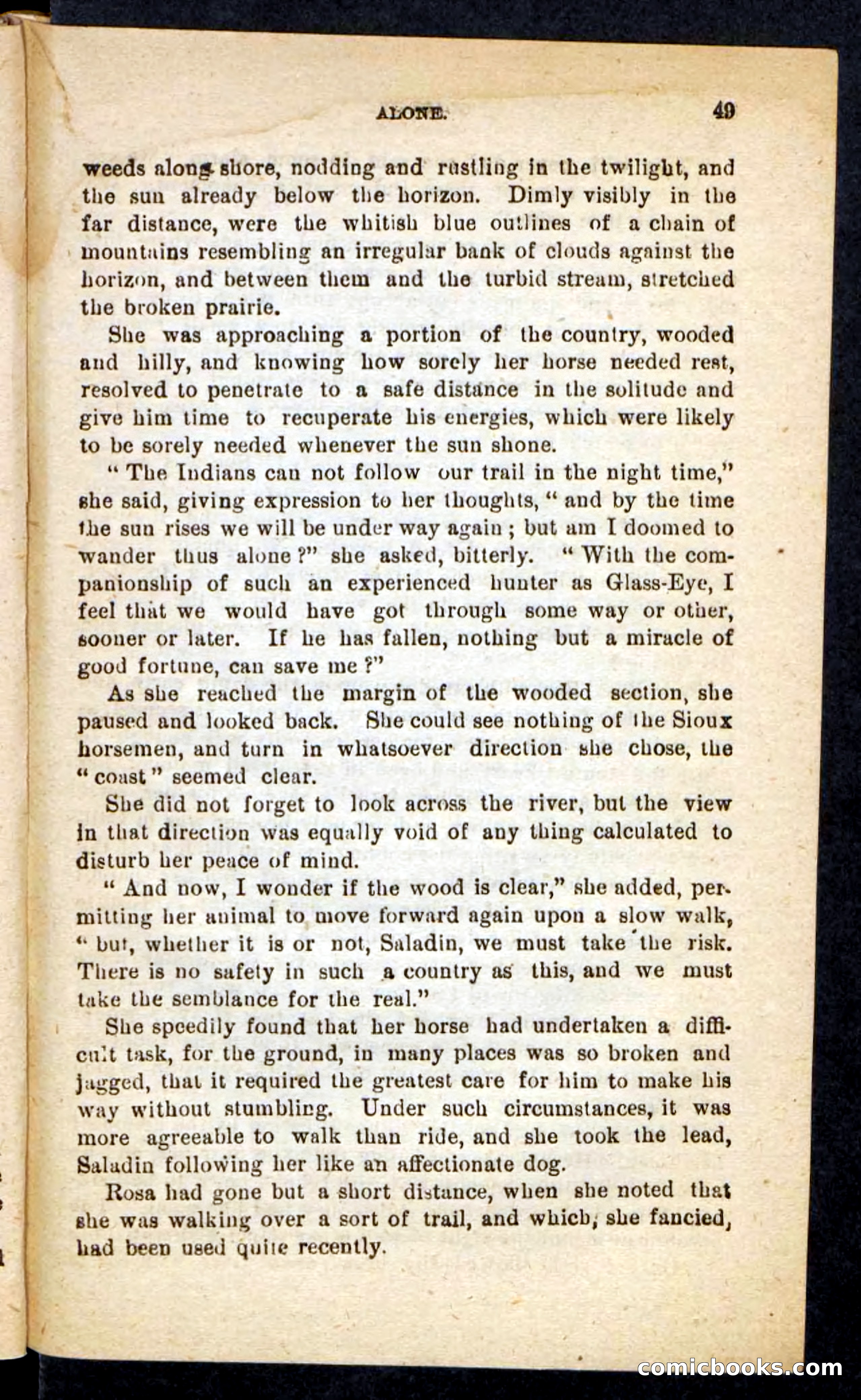 Beadle's Pocket Novels No. 196: Glass-Eye — page 45 of 100