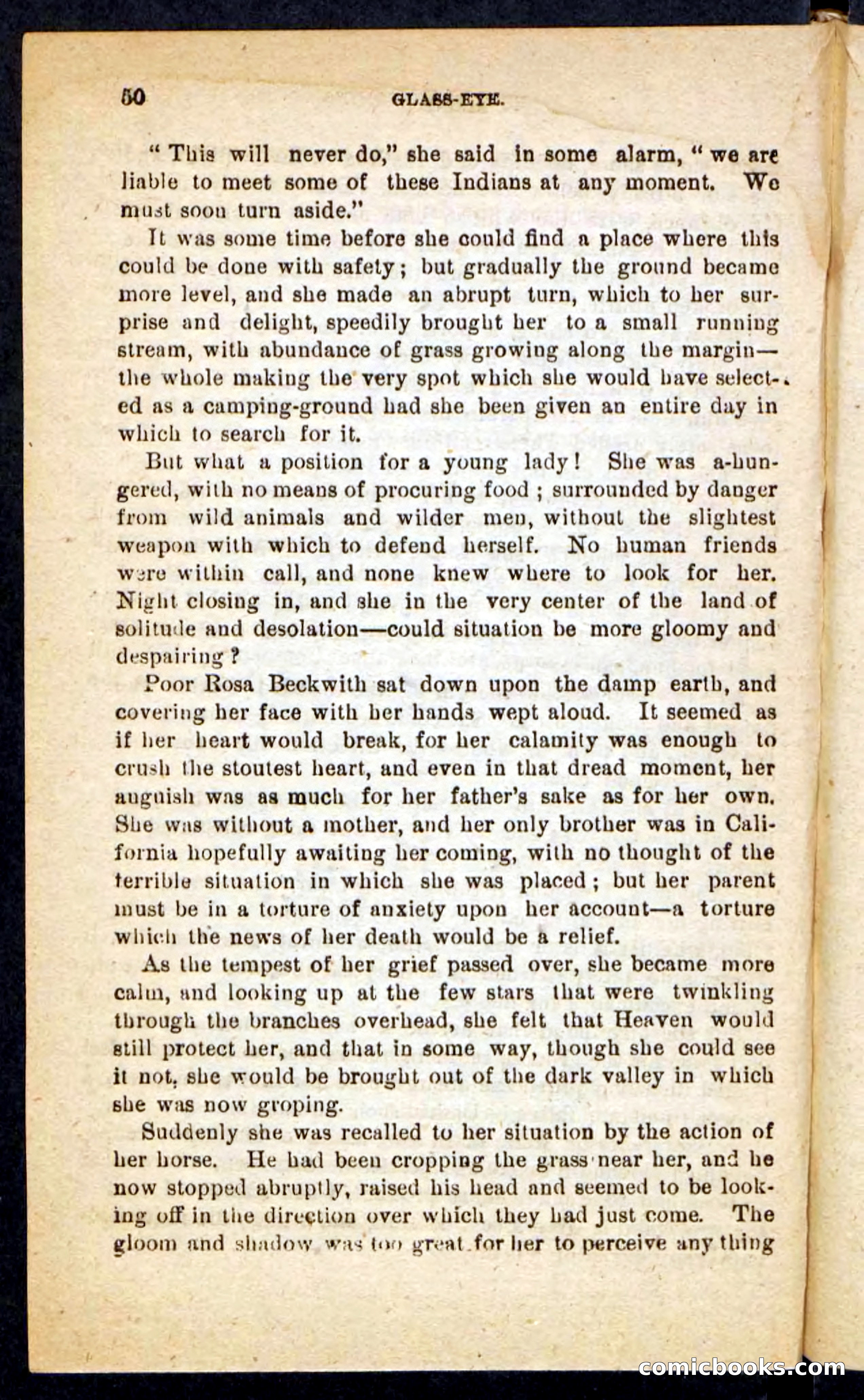 Beadle's Pocket Novels No. 196: Glass-Eye — page 46 of 100