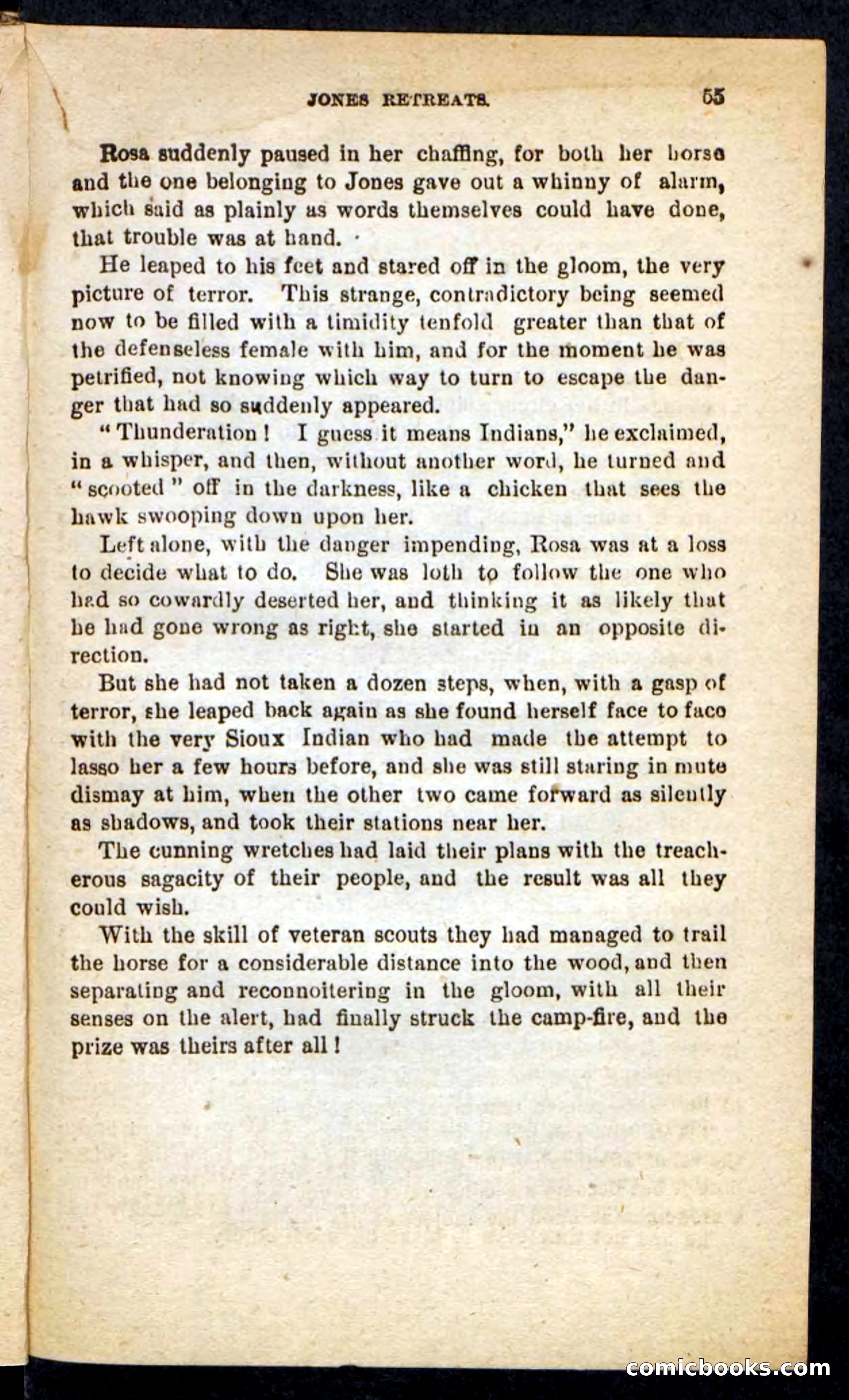 Beadle's Pocket Novels No. 196: Glass-Eye — page 51 of 100