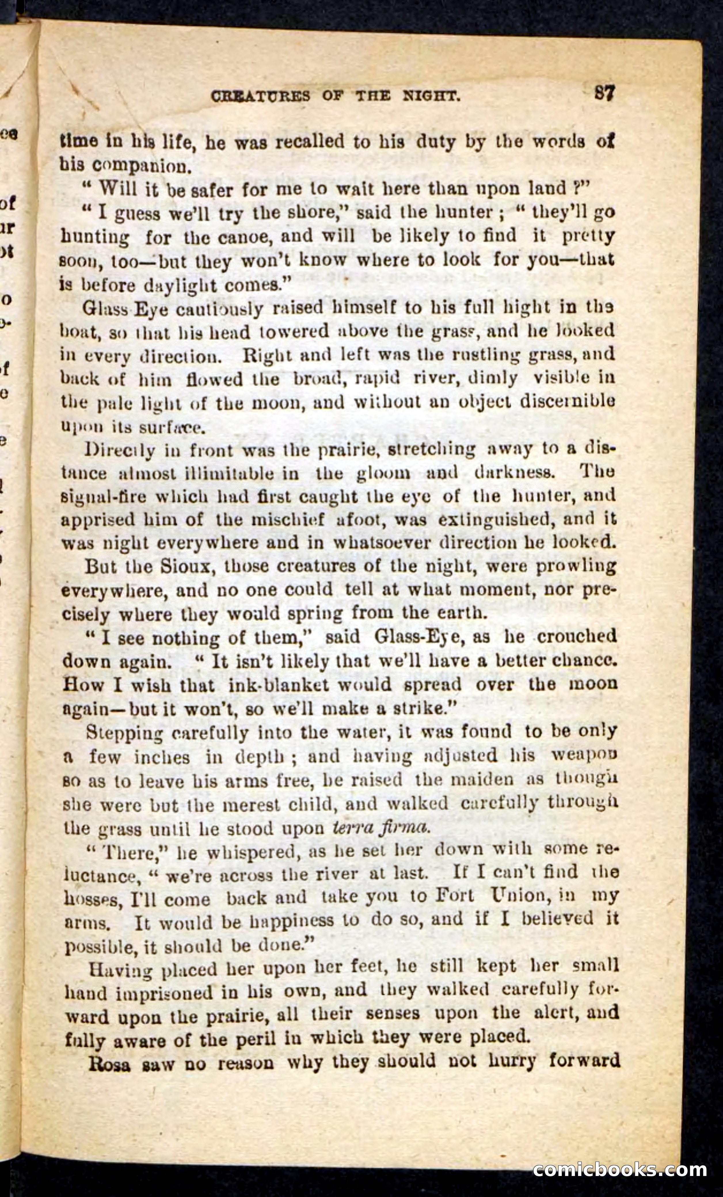 Beadle's Pocket Novels No. 196: Glass-Eye — page 83 of 100