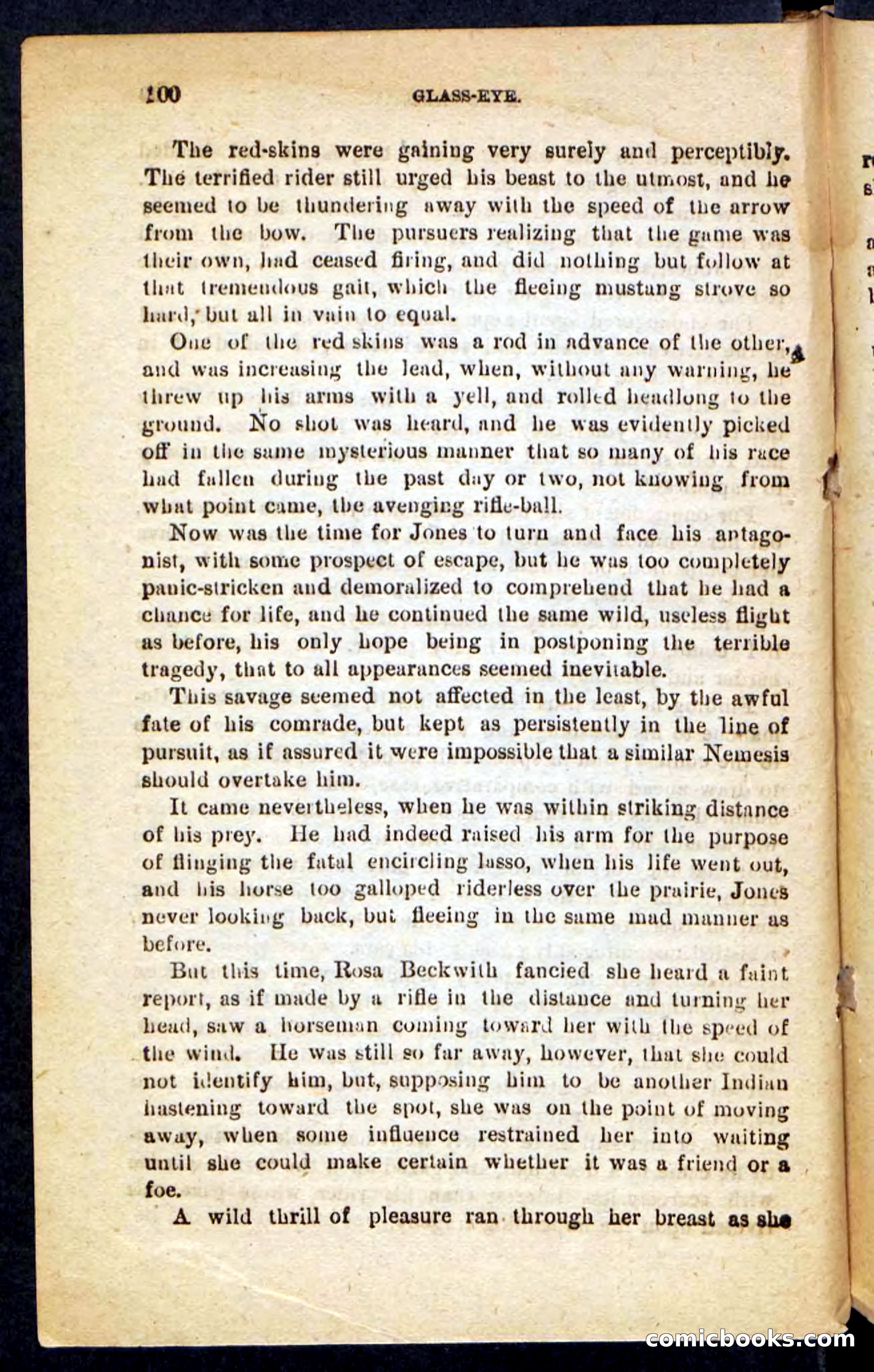 Beadle's Pocket Novels No. 196: Glass-Eye — page 96 of 100