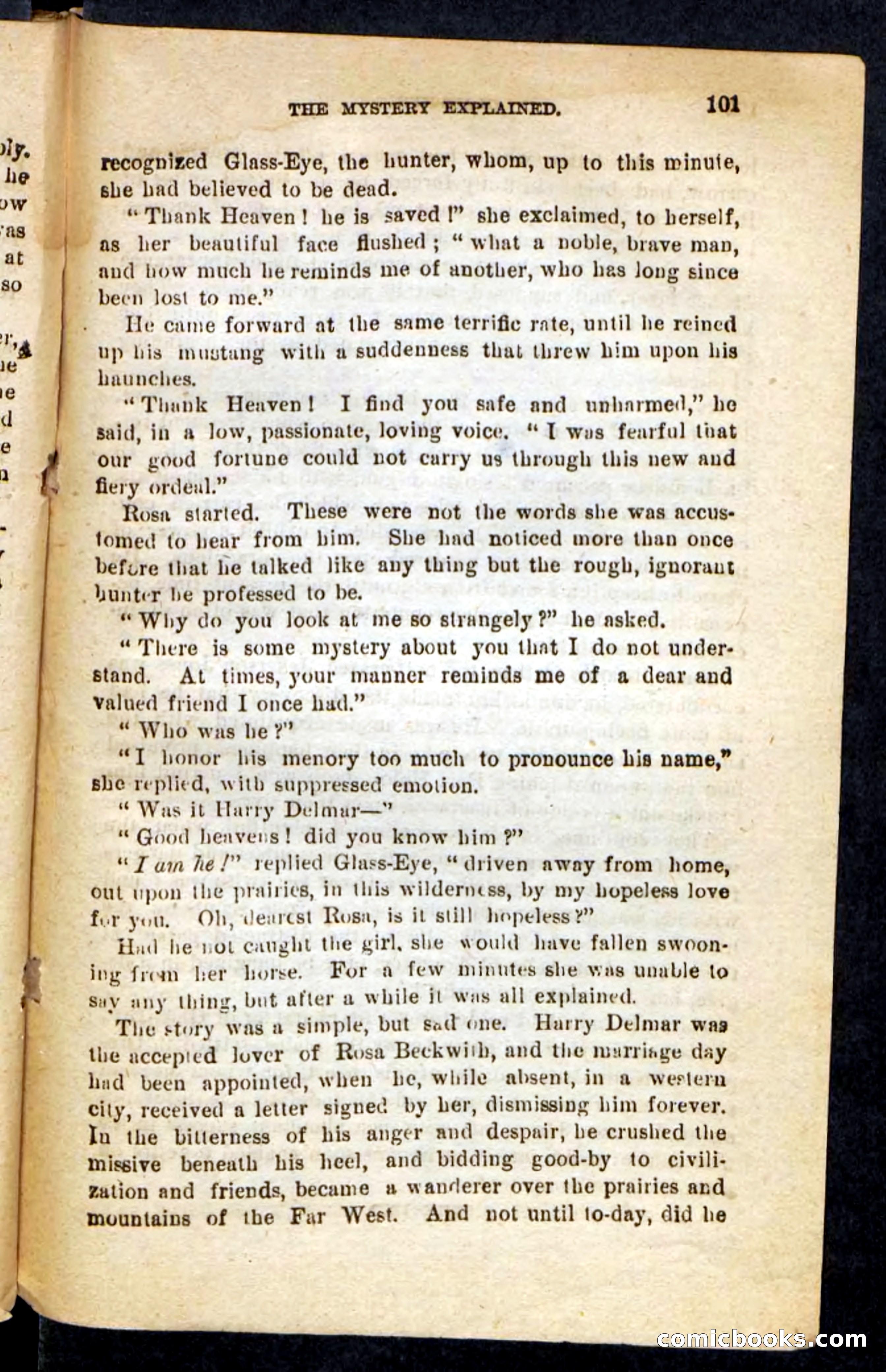 Beadle's Pocket Novels No. 196: Glass-Eye — page 97 of 100