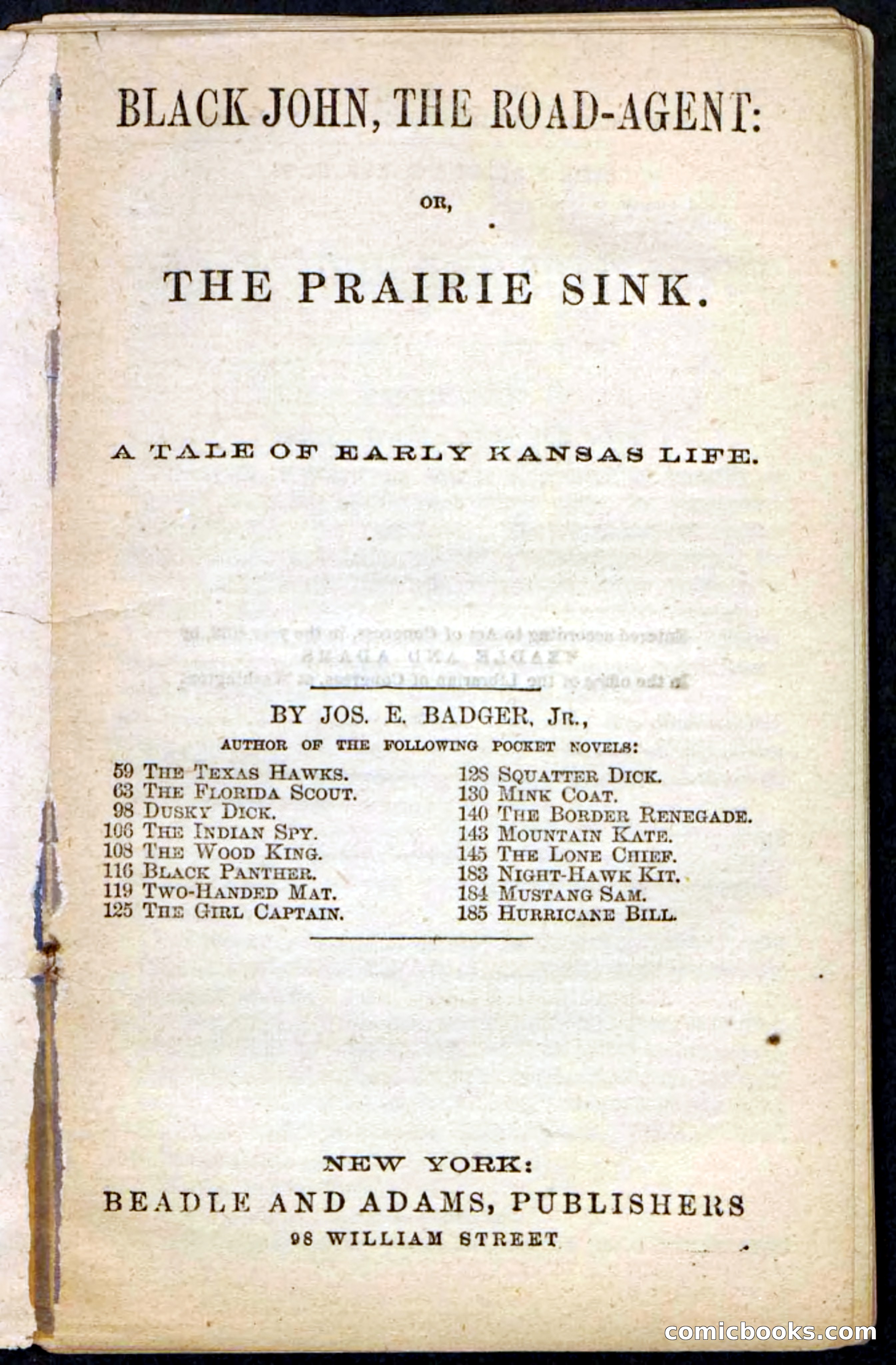 Beadle's Pocket Novels No. 198: Black John — page 3 of 100