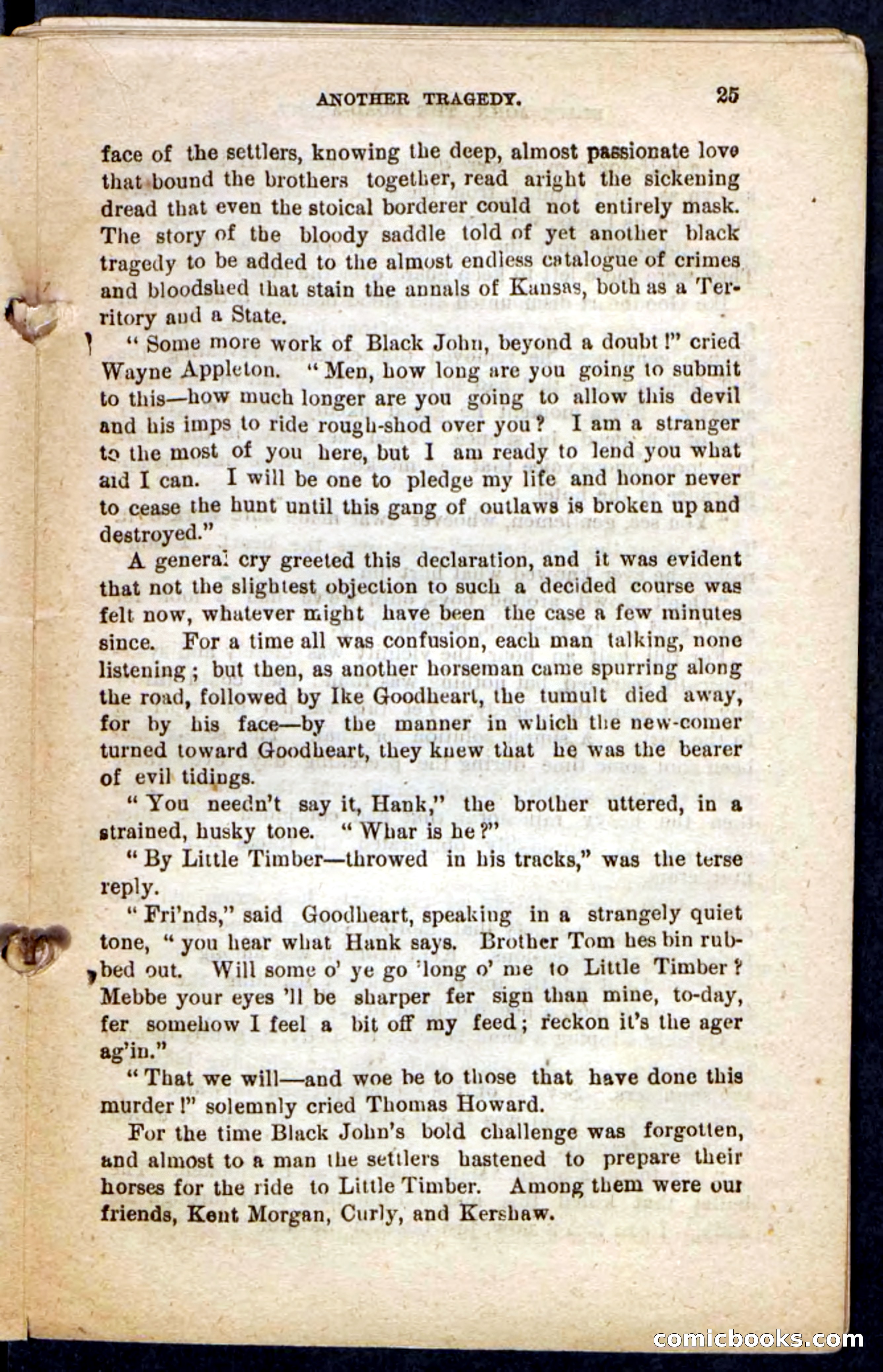 Beadle's Pocket Novels No. 198: Black John — page 21 of 100