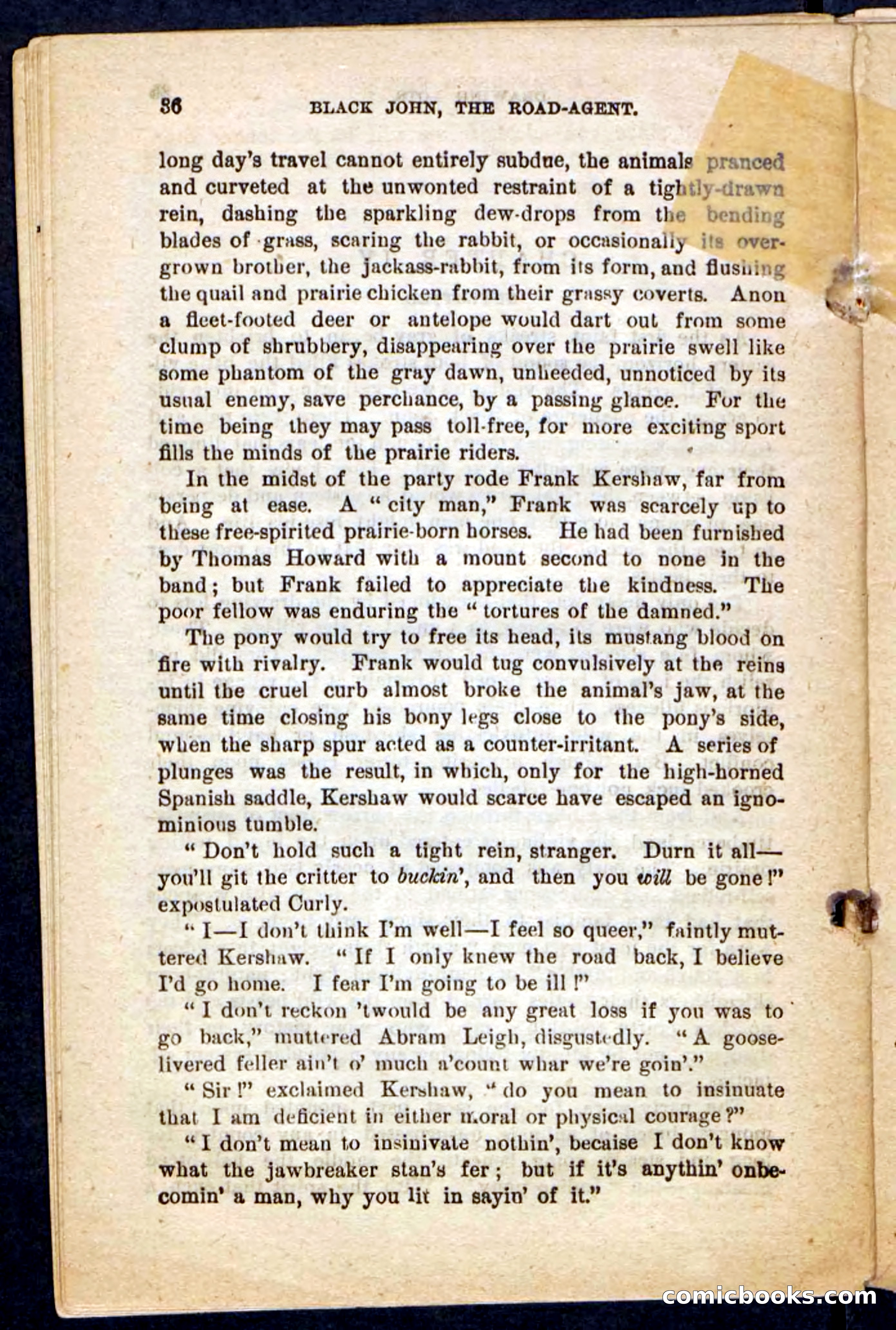Beadle's Pocket Novels No. 198: Black John — page 32 of 100