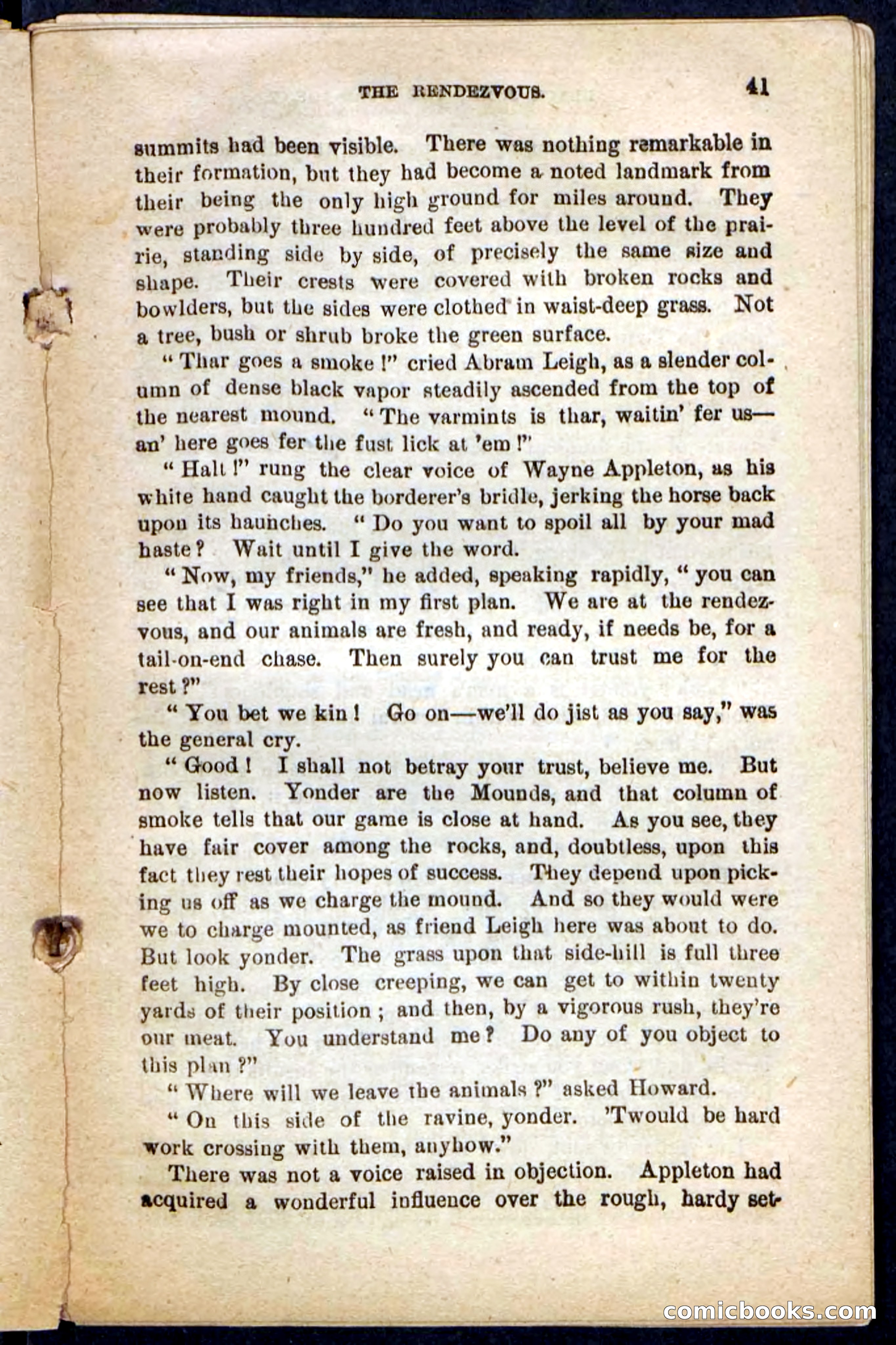 Beadle's Pocket Novels No. 198: Black John — page 37 of 100