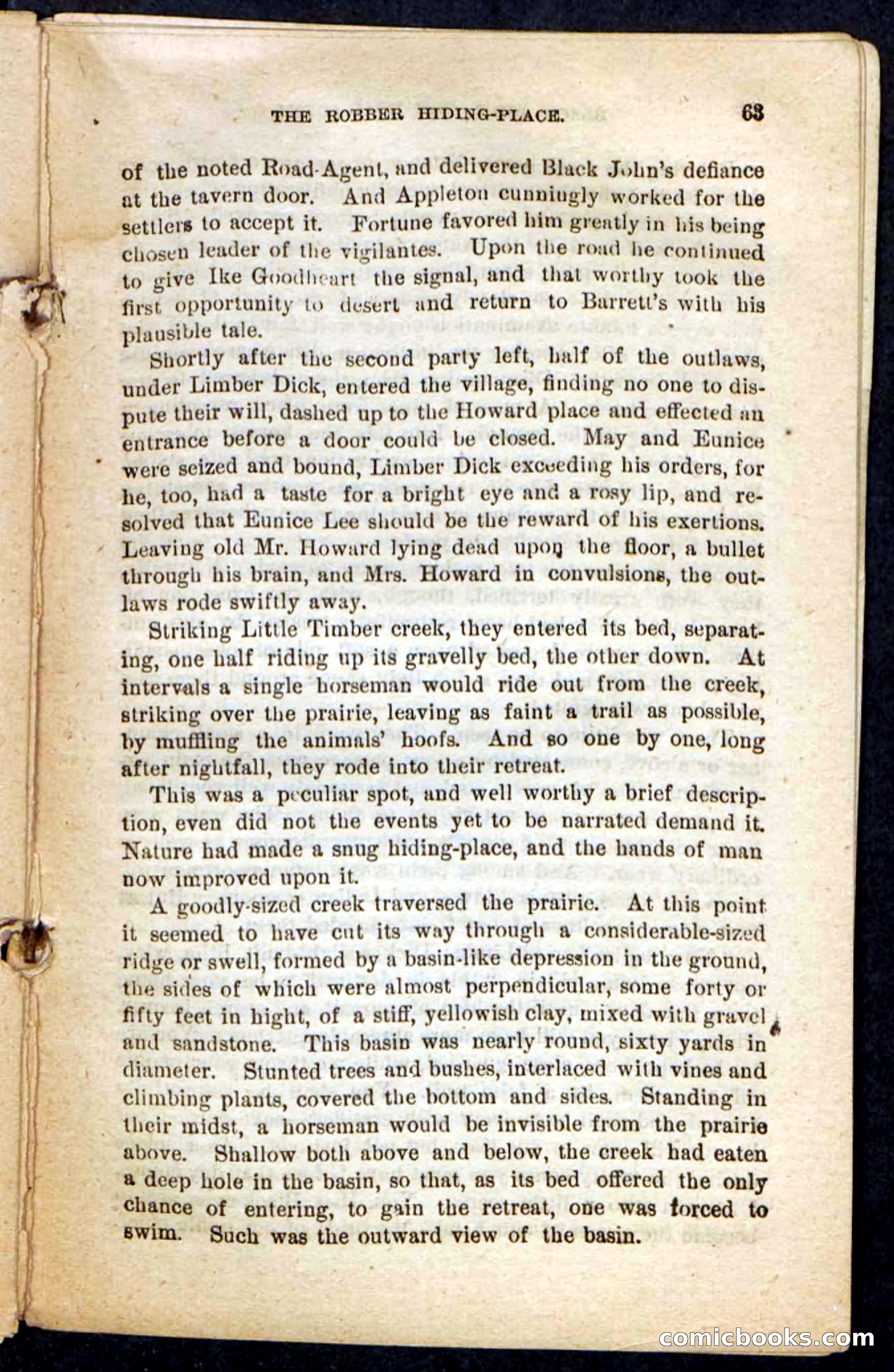 Beadle's Pocket Novels No. 198: Black John — page 59 of 100