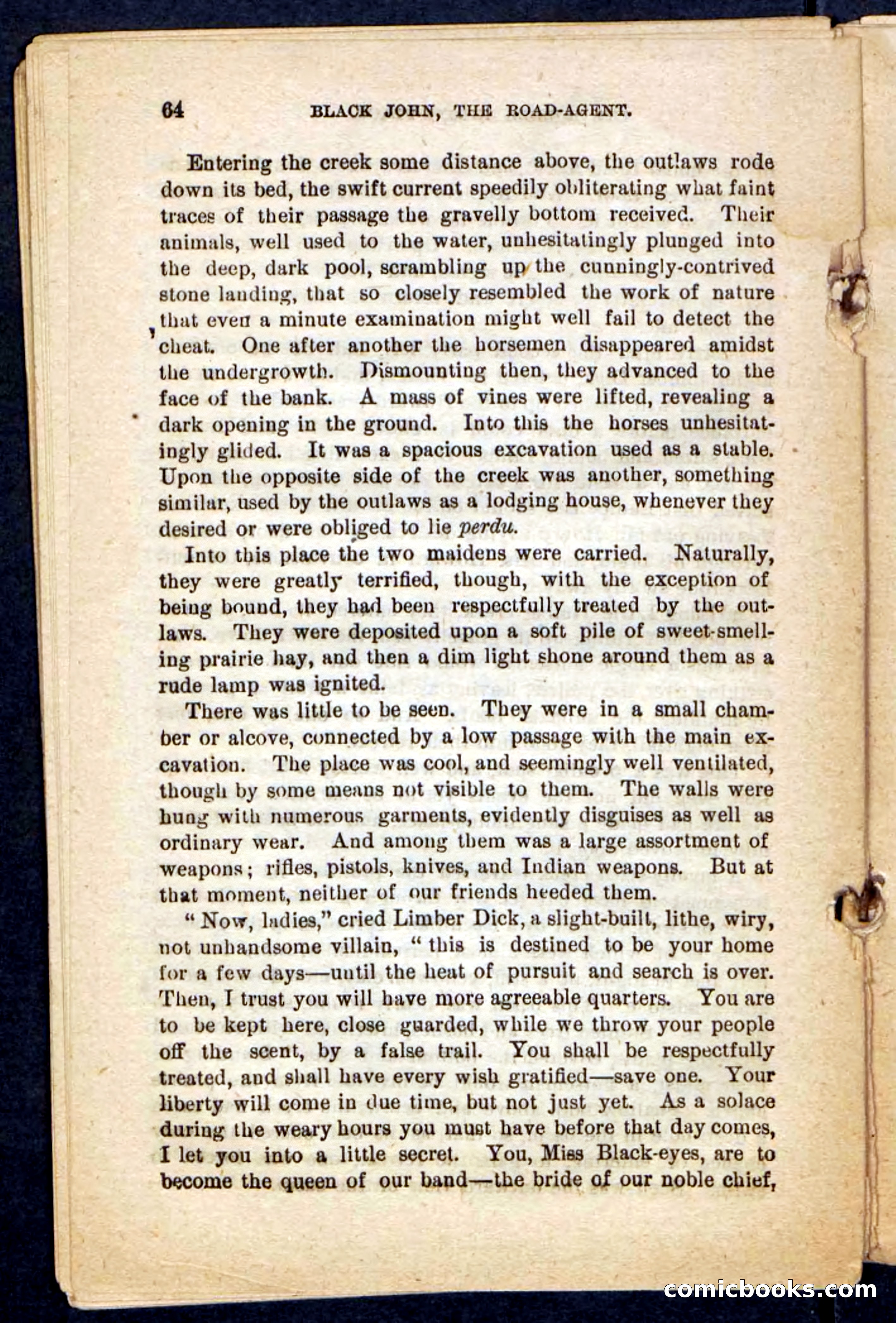 Beadle's Pocket Novels No. 198: Black John — page 60 of 100