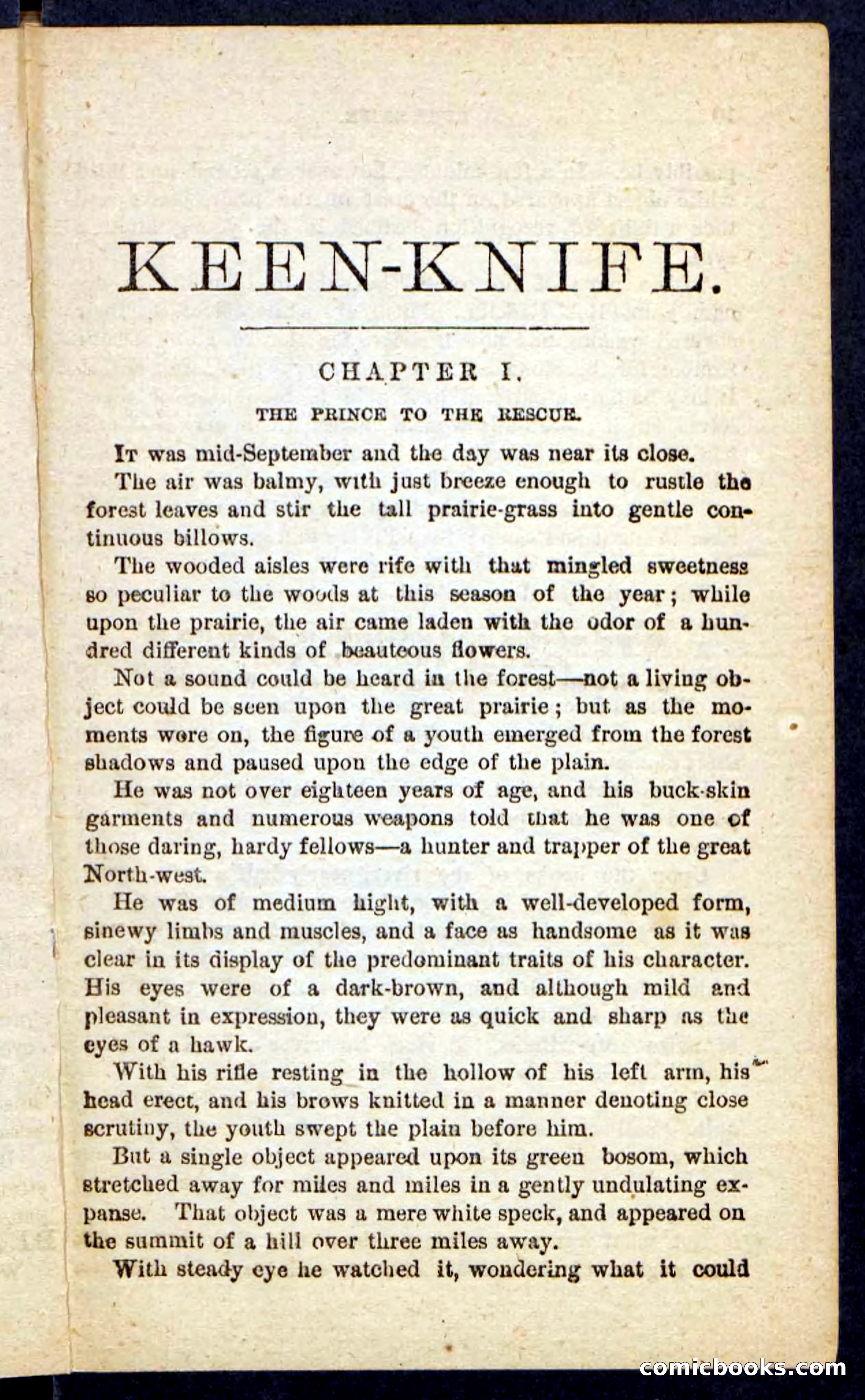 Beadle's Pocket Novels No. 199: Keen-Knife — page 5 of 100