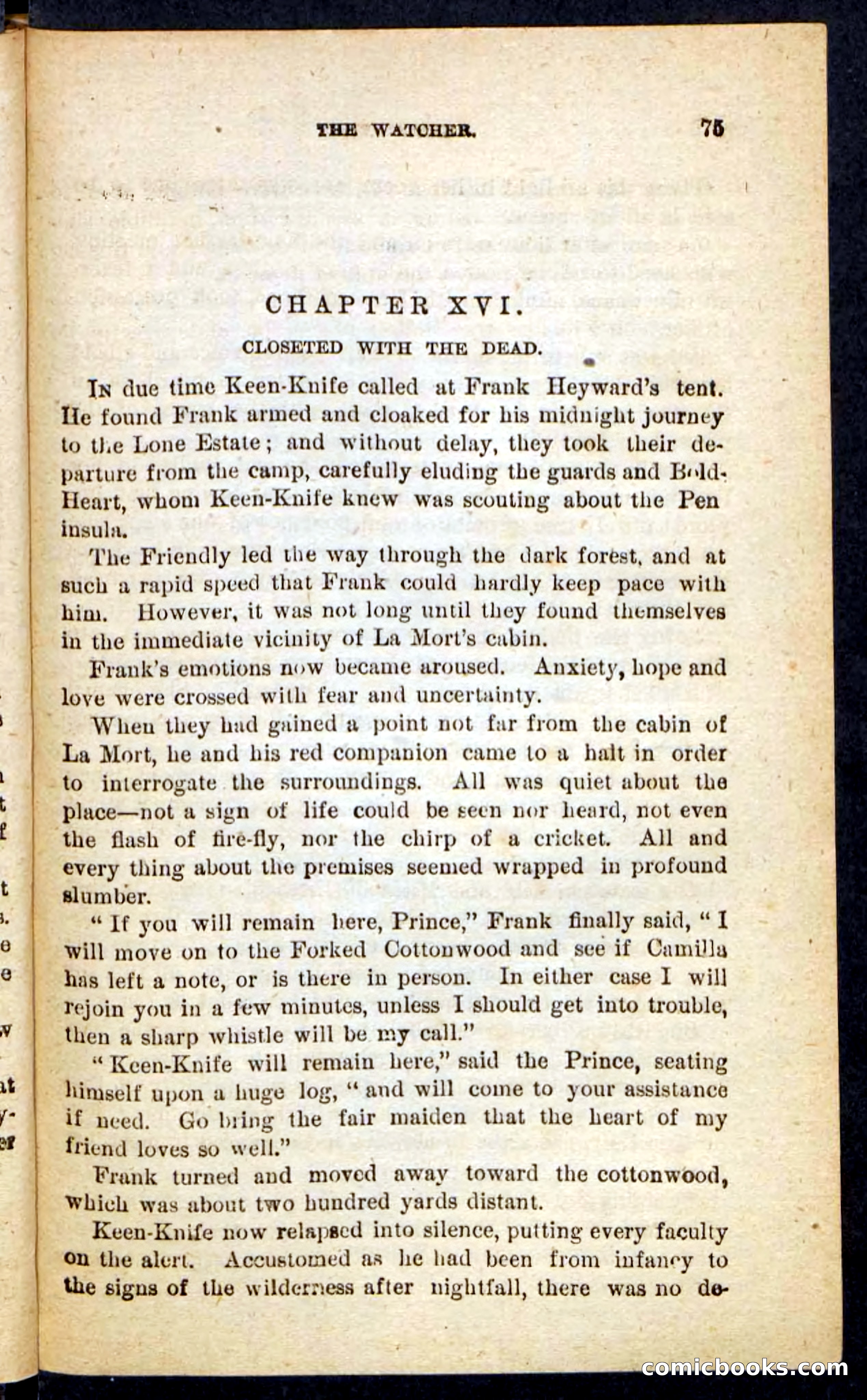 Beadle's Pocket Novels No. 199: Keen-Knife — page 71 of 100