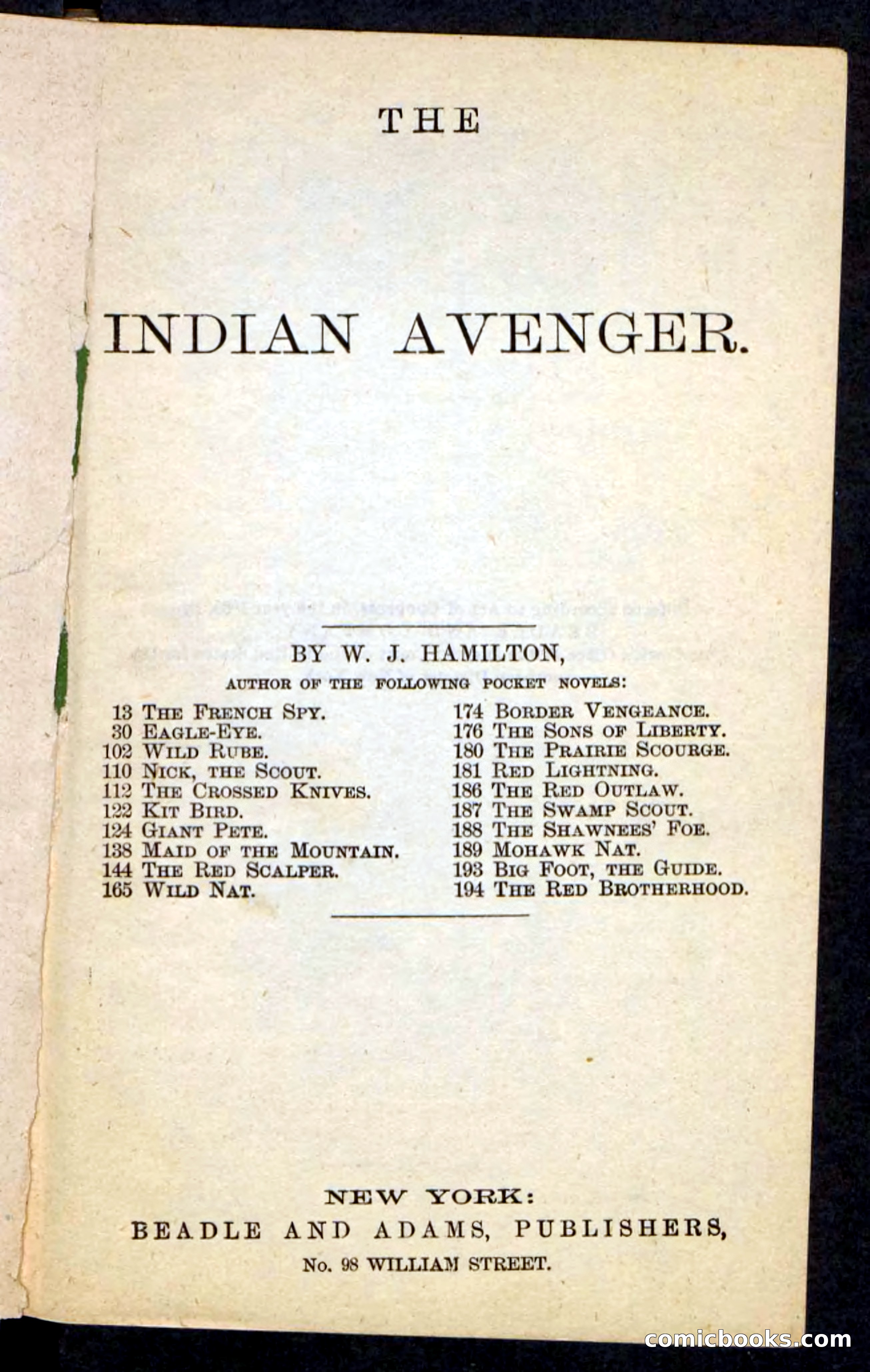 The Indian Avenger — page 3 of 100