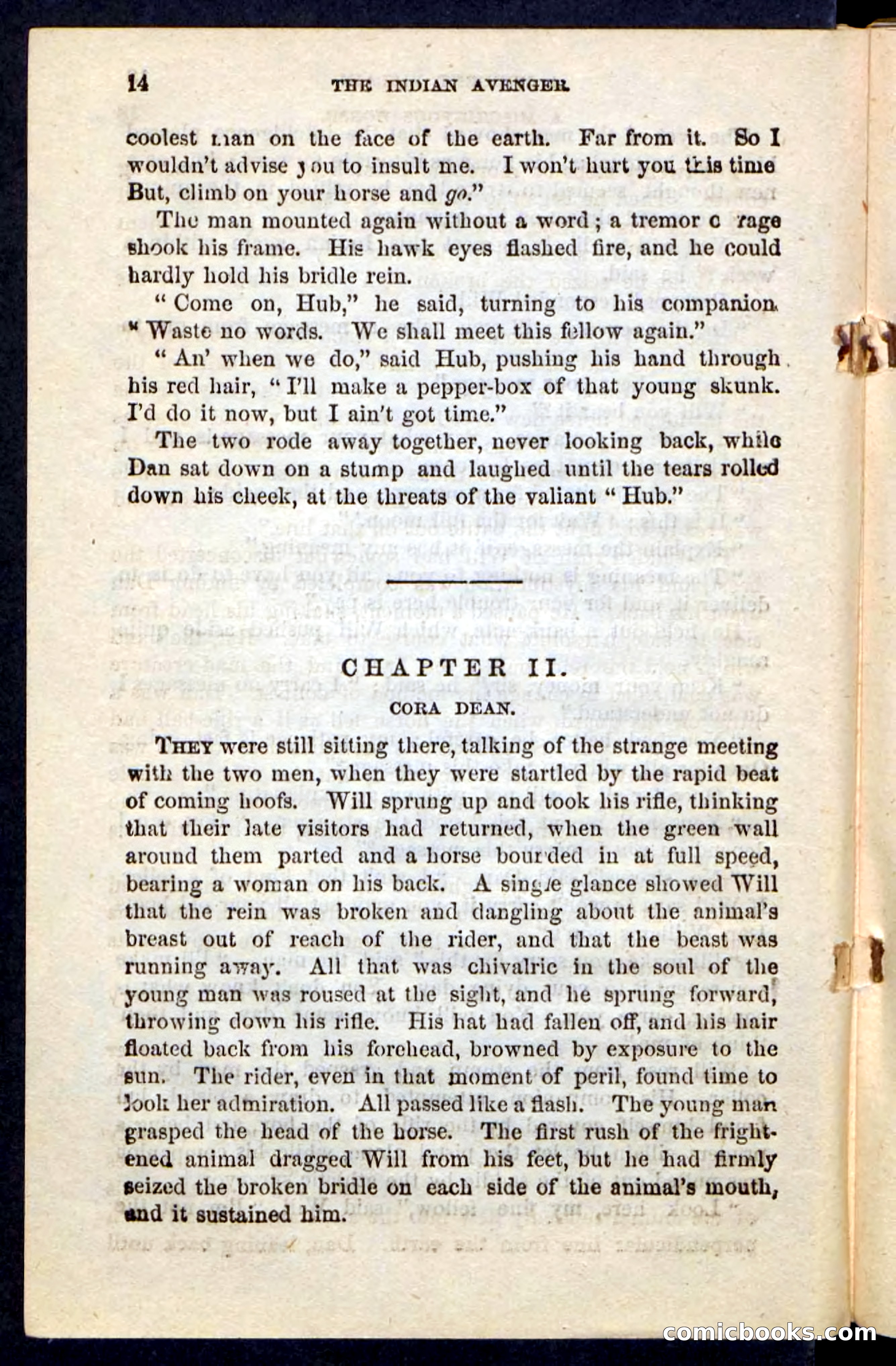 The Indian Avenger — page 10 of 100