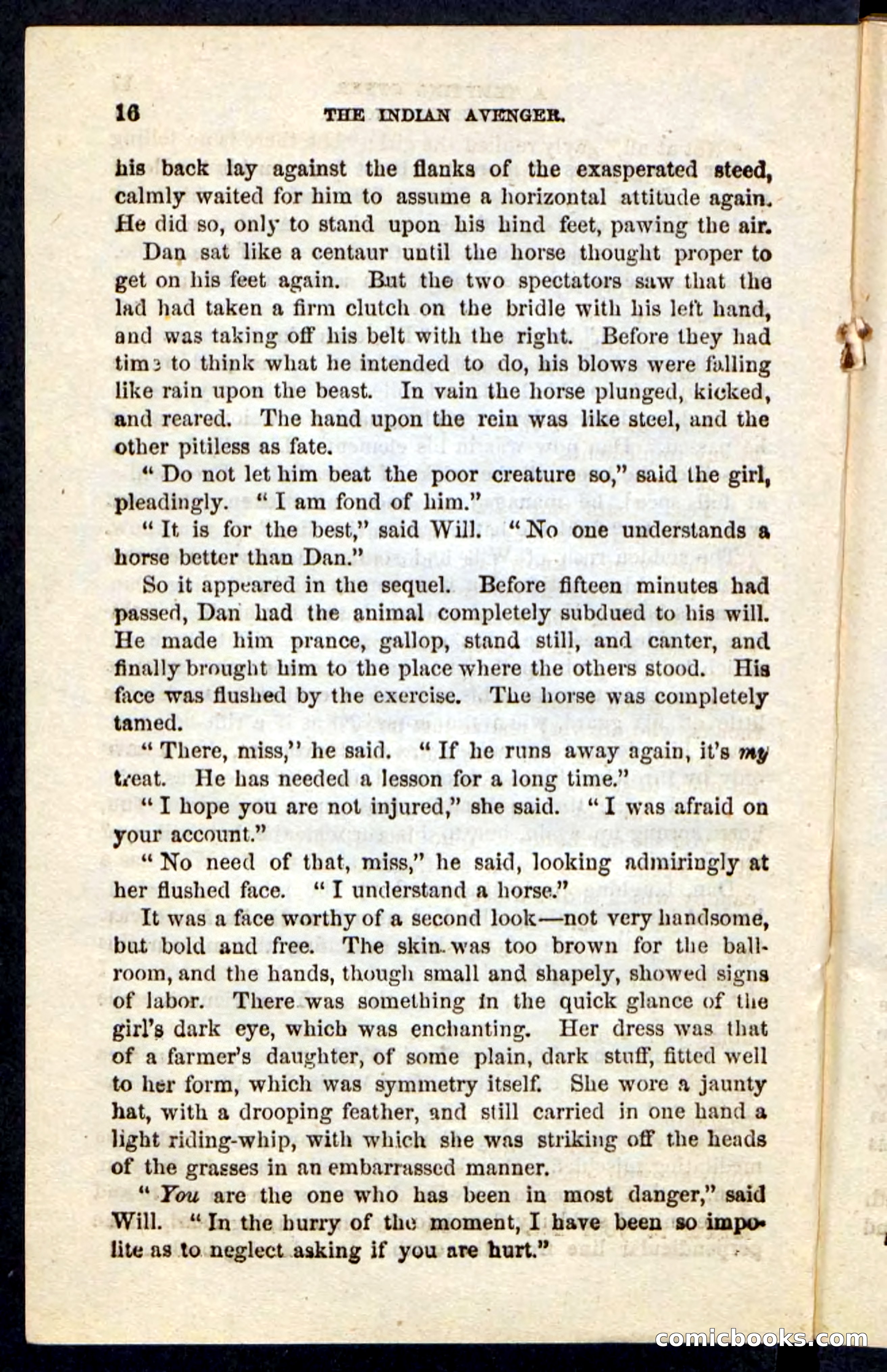 The Indian Avenger — page 12 of 100