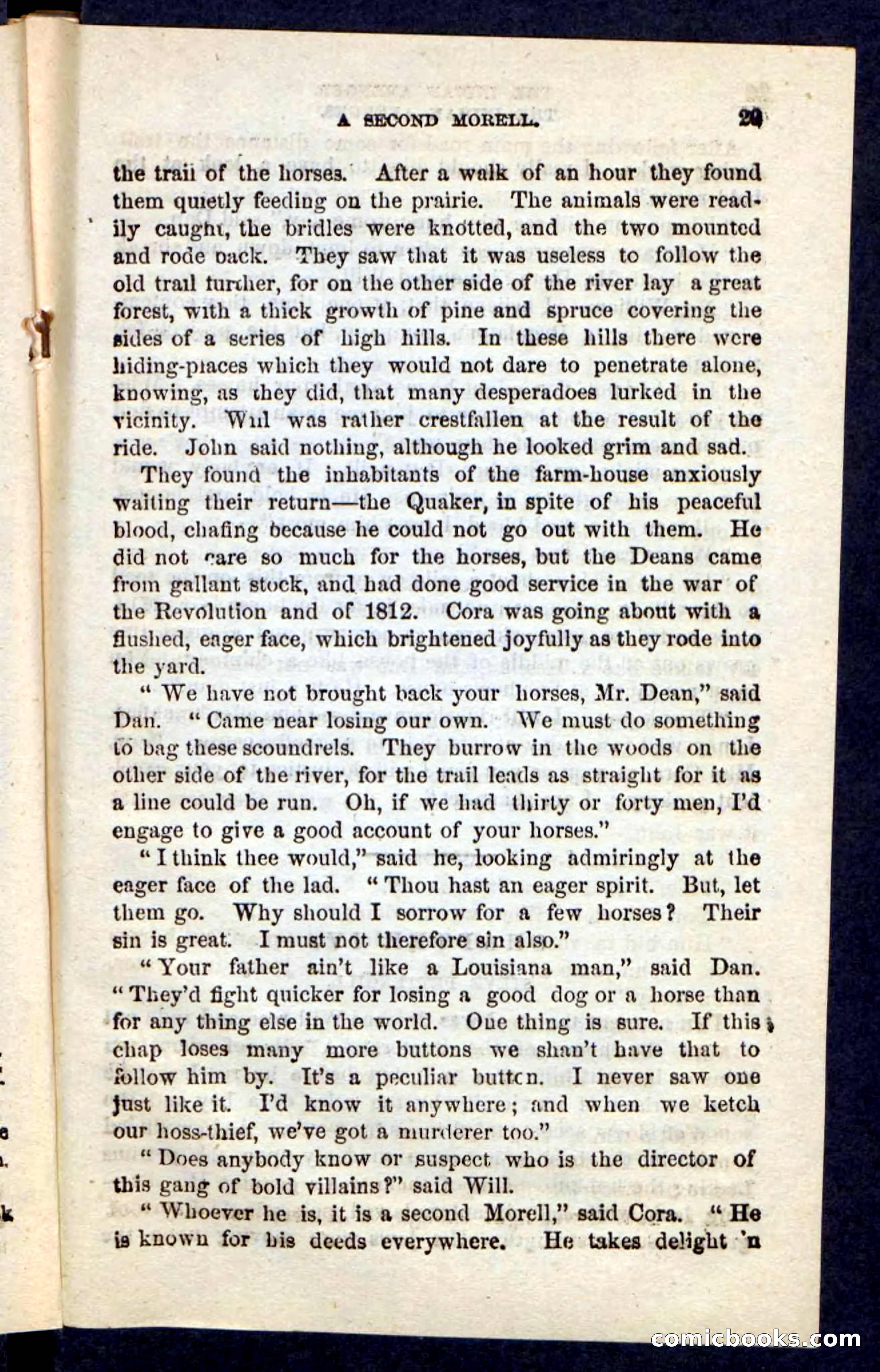 The Indian Avenger — page 25 of 100