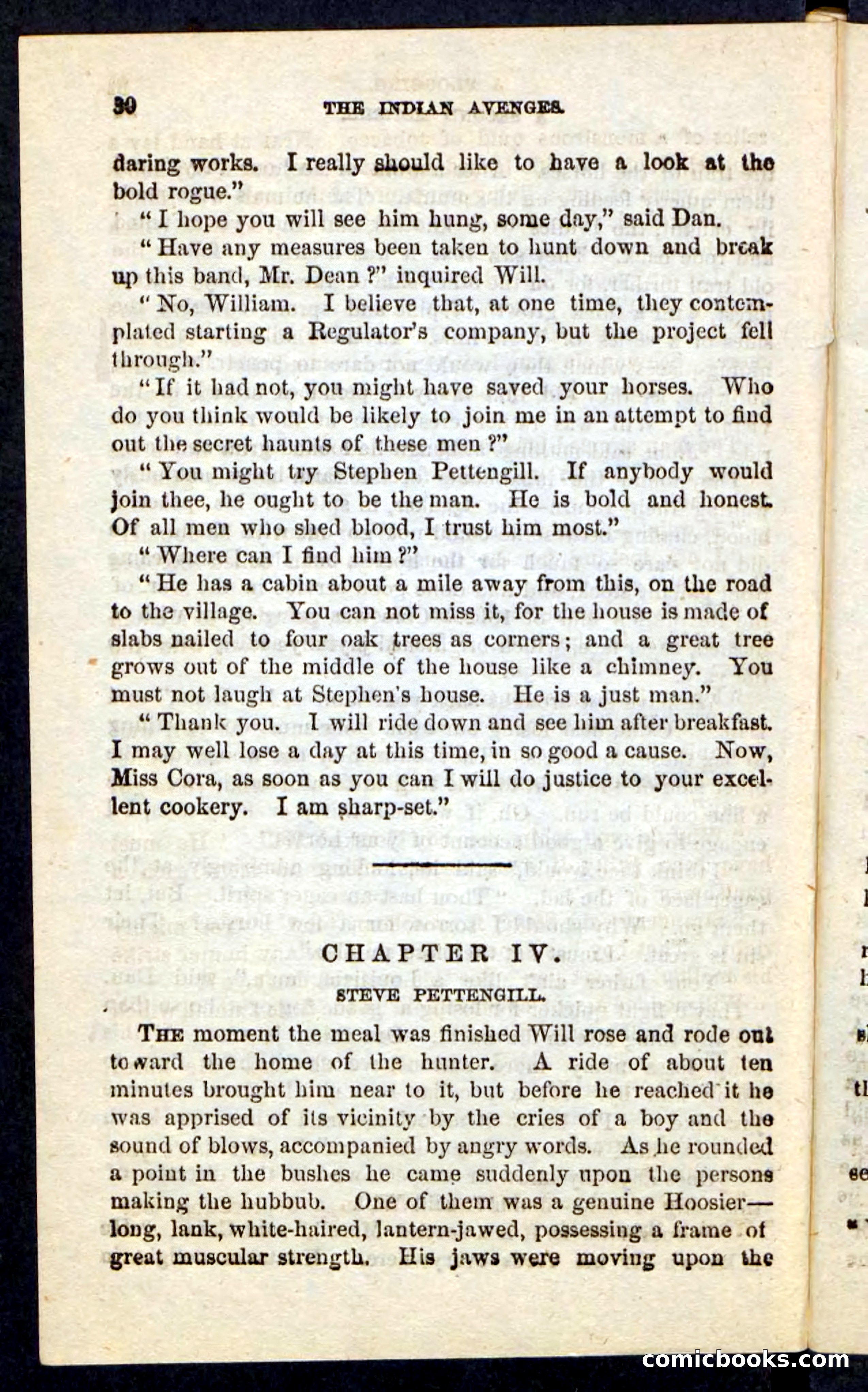 The Indian Avenger — page 26 of 100