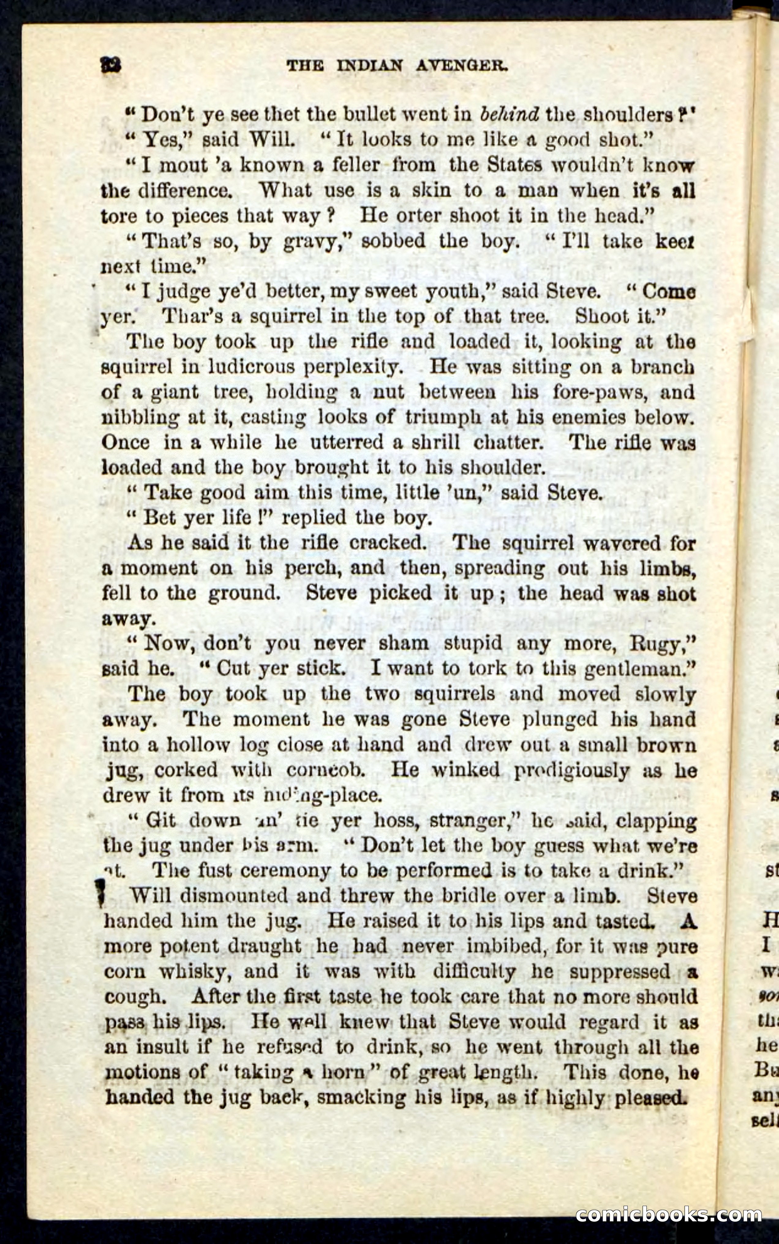 The Indian Avenger — page 28 of 100